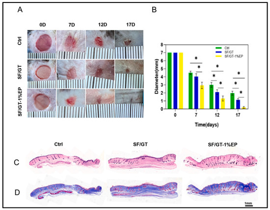 Potential of Chitosan/Gelatin-Based Nanofibers in Delivering Drugs