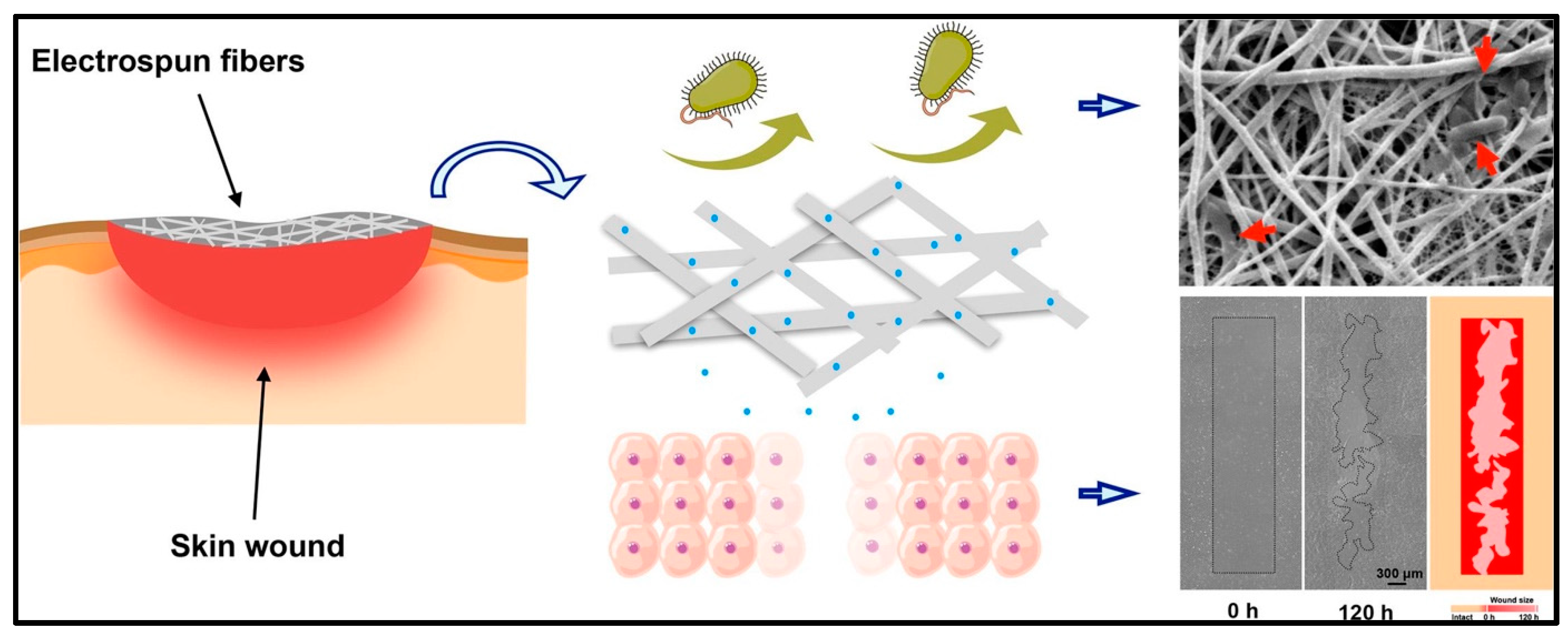 Polymers 17 00435 g009