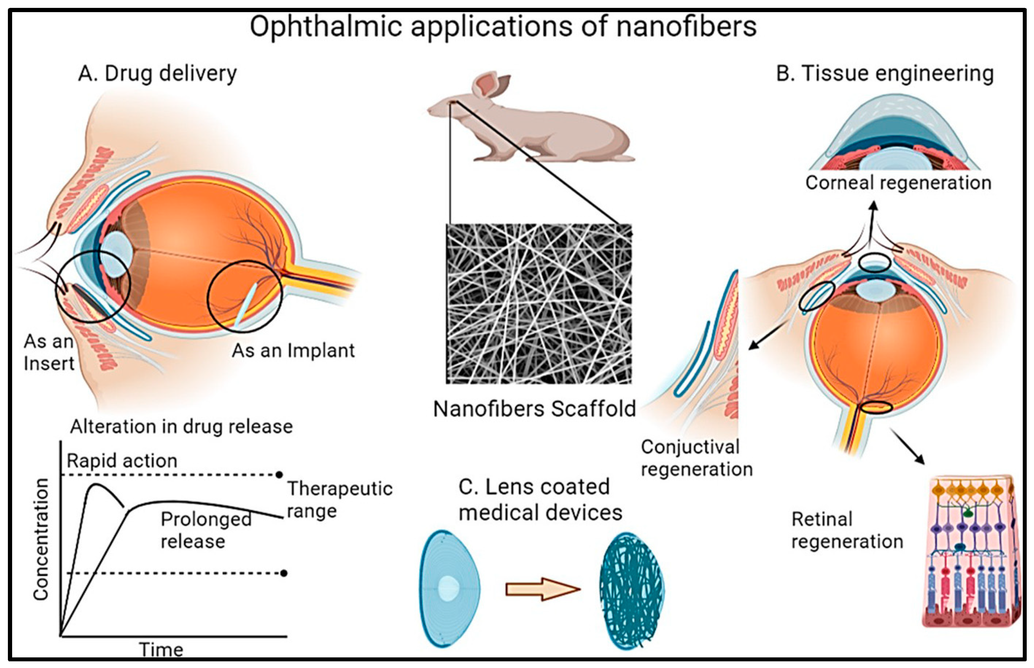 Polymers 17 00435 g013