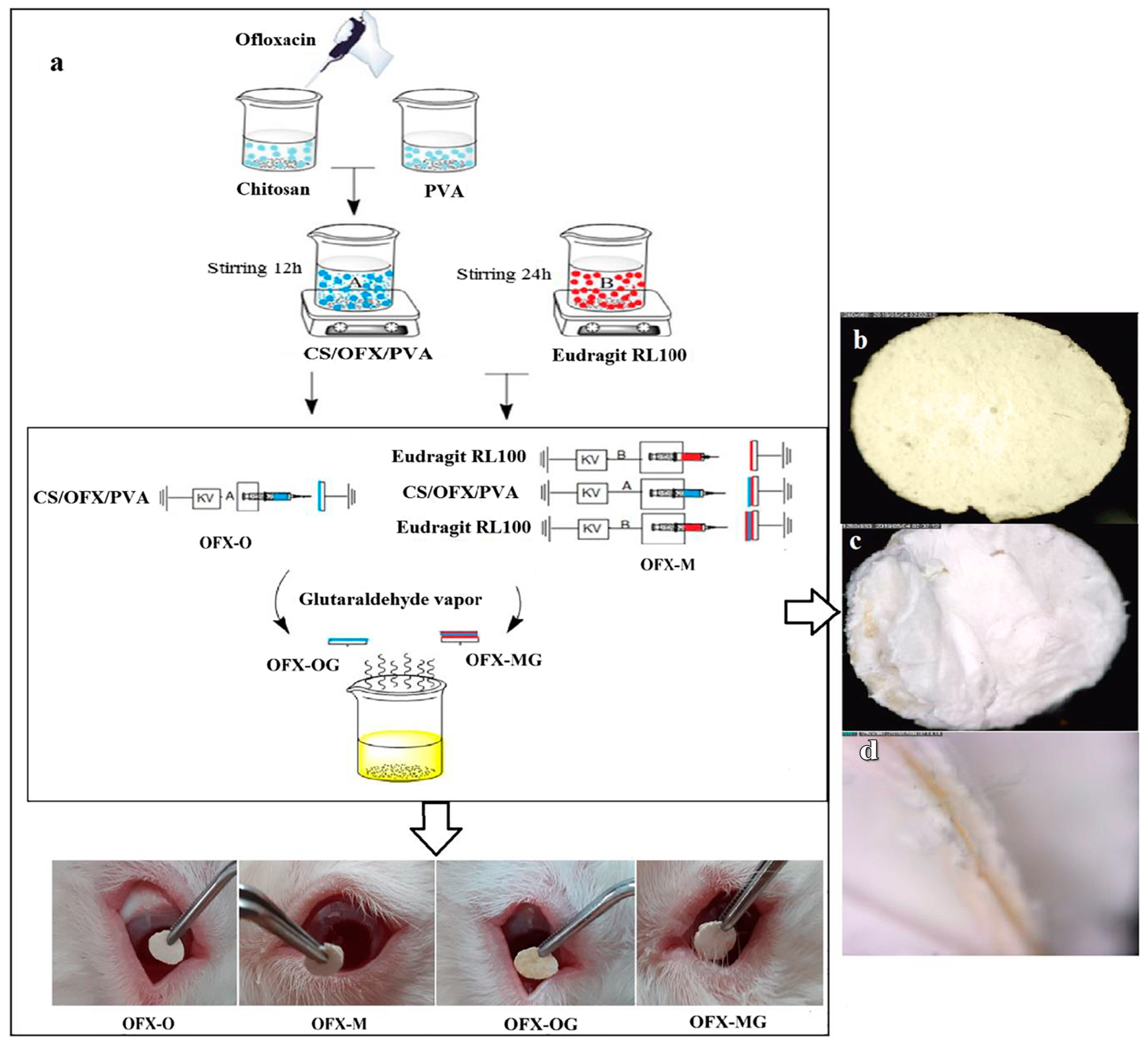 Polymers 17 00435 g014