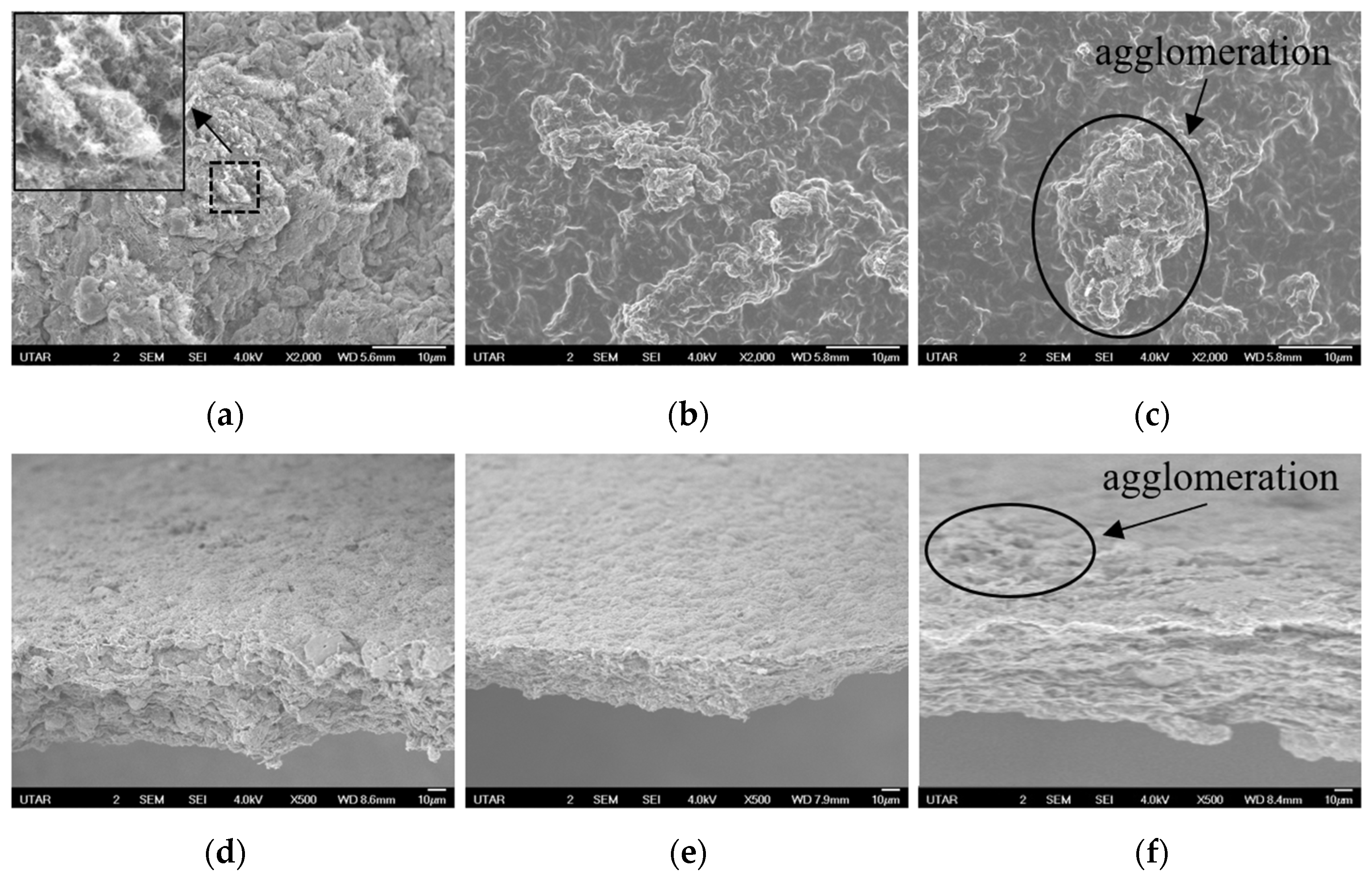 Polymers 17 00437 g004