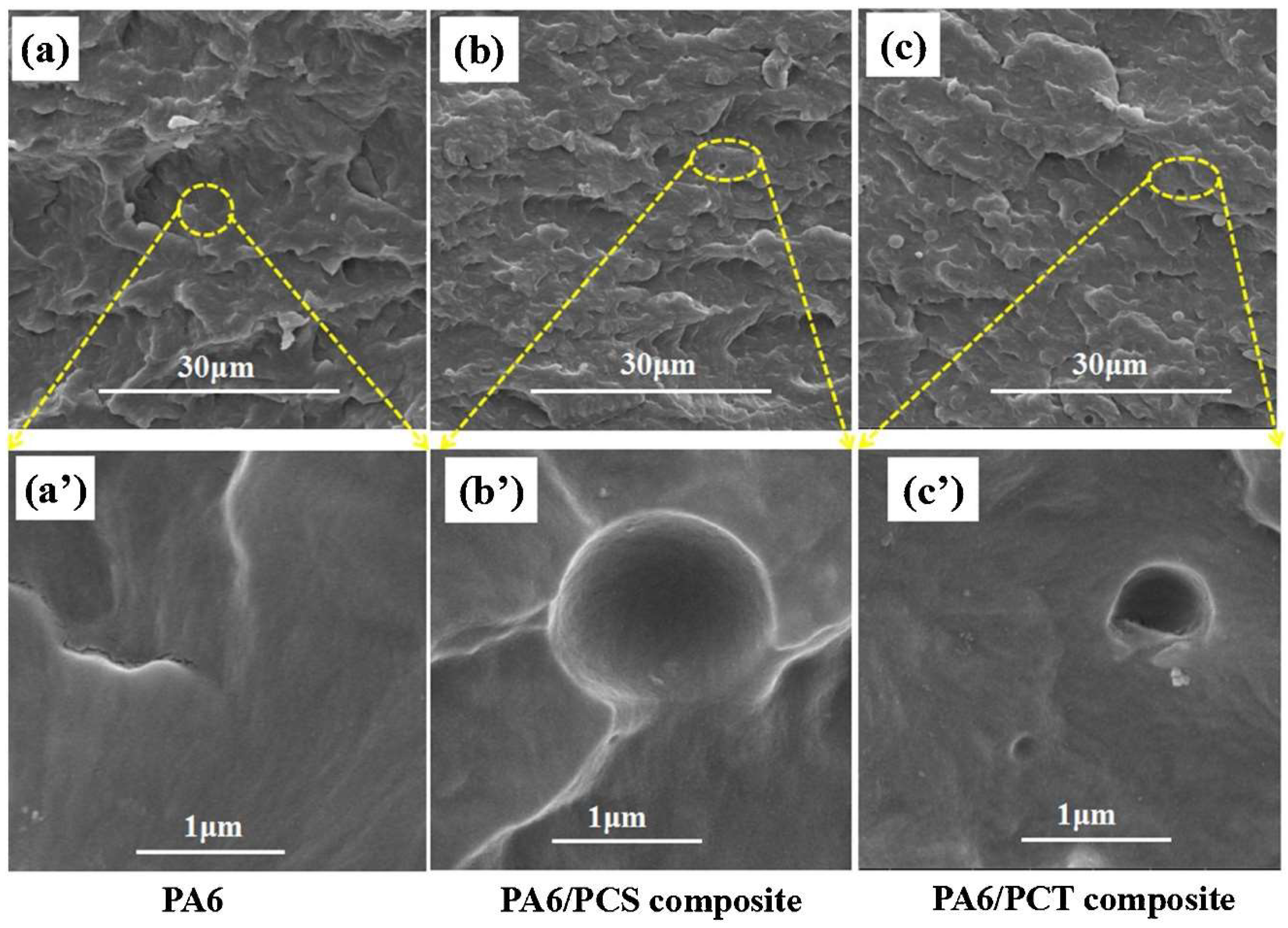 Polymers 17 00442 g005