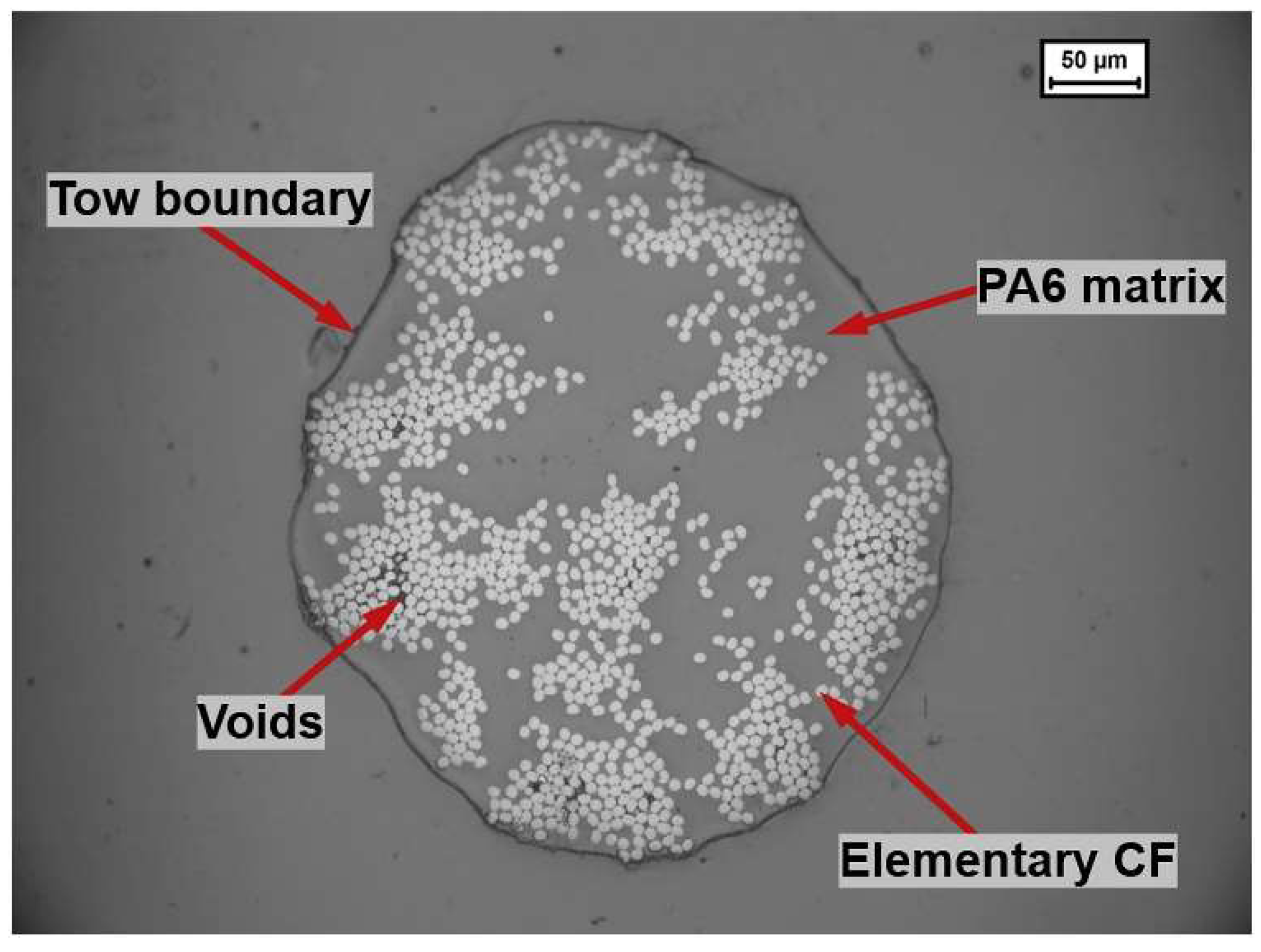 Polymers 17 00442 g006