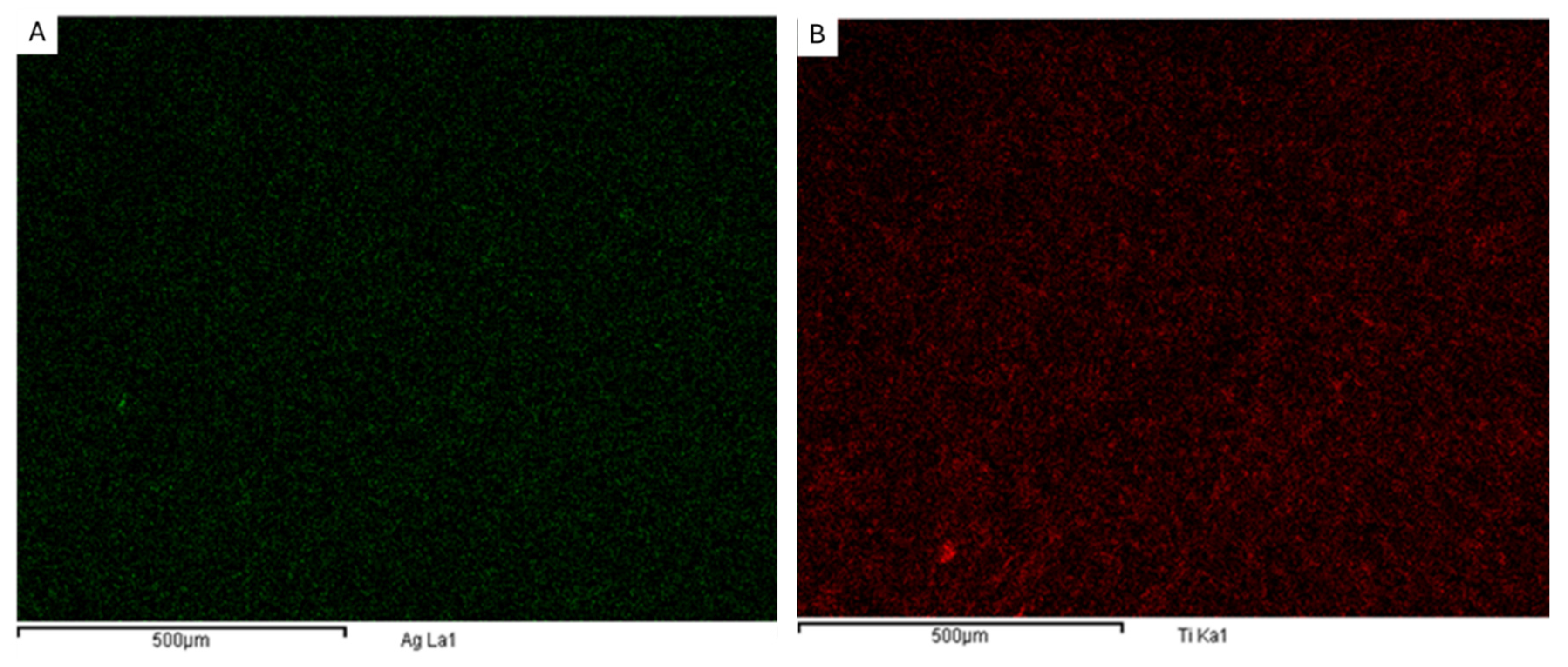 Polymers 17 00444 g003