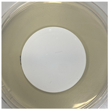 Polymers 17 00444 i006