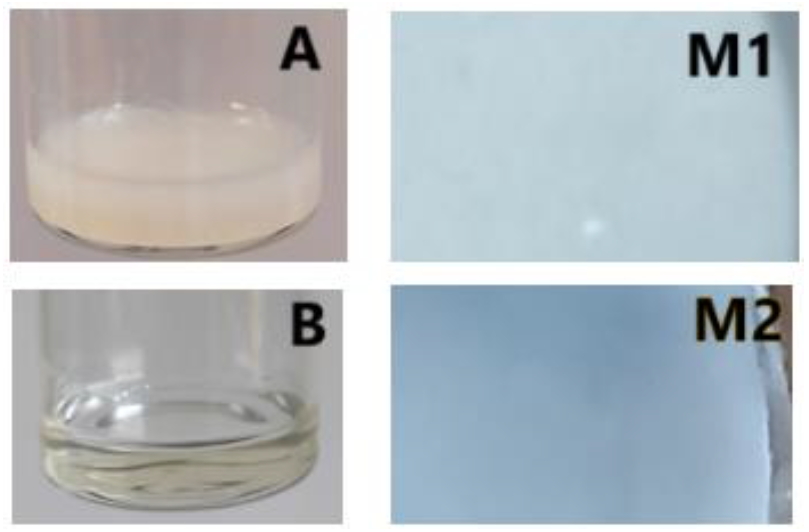 Polymers 17 00446 g002