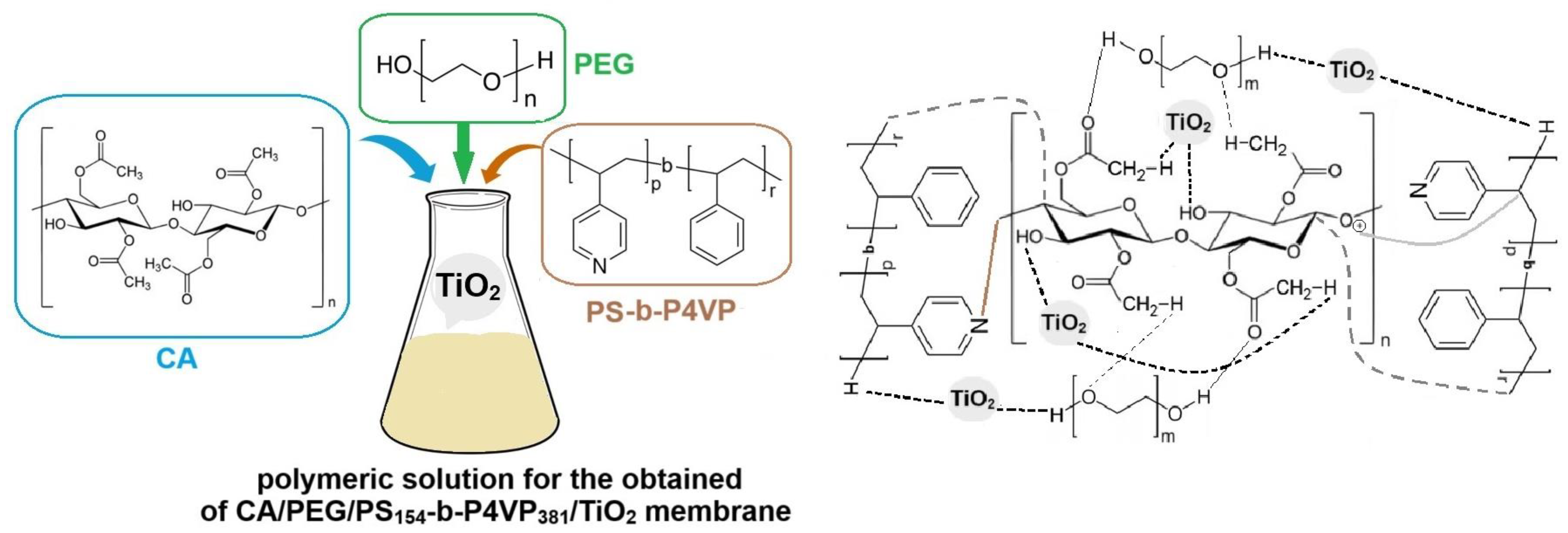Polymers 17 00446 g003