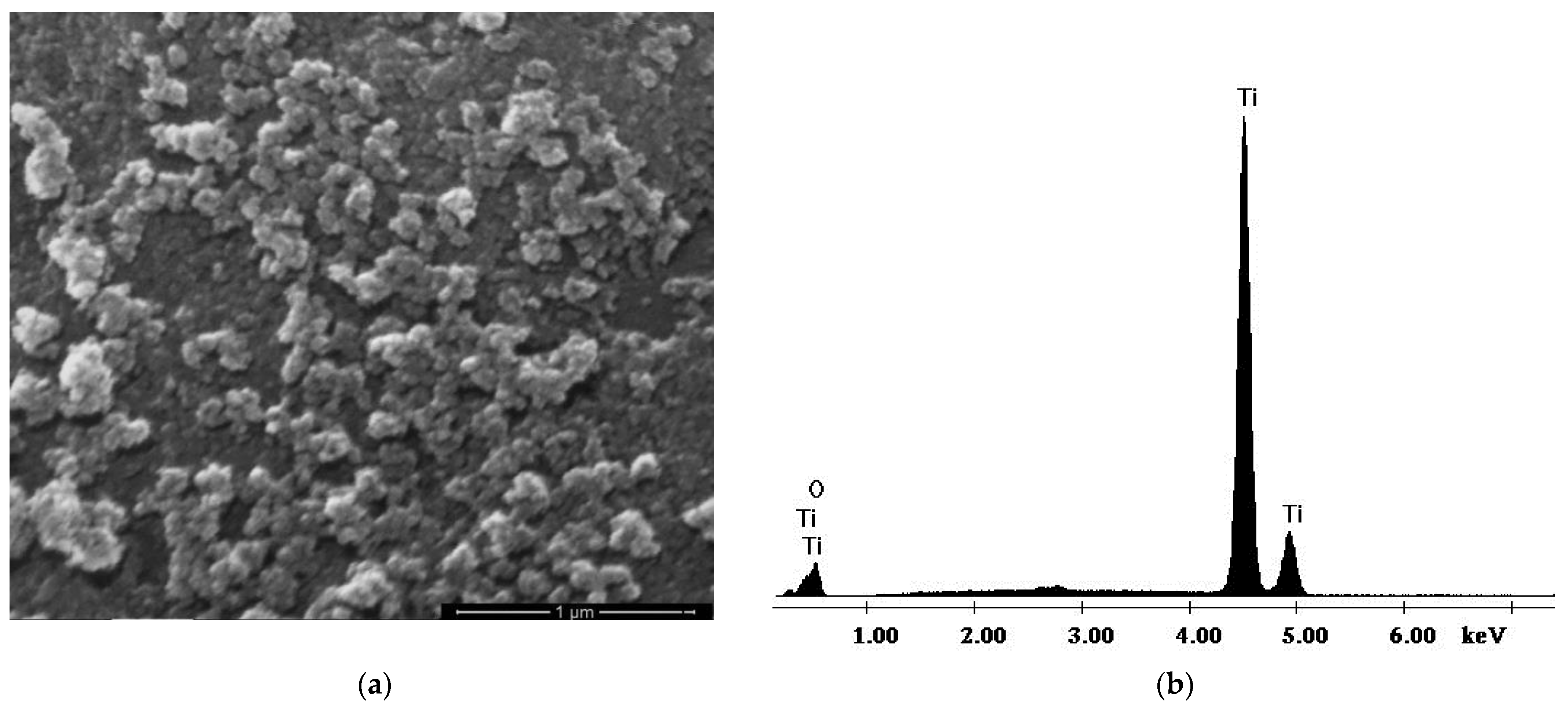 Polymers 17 00446 g005