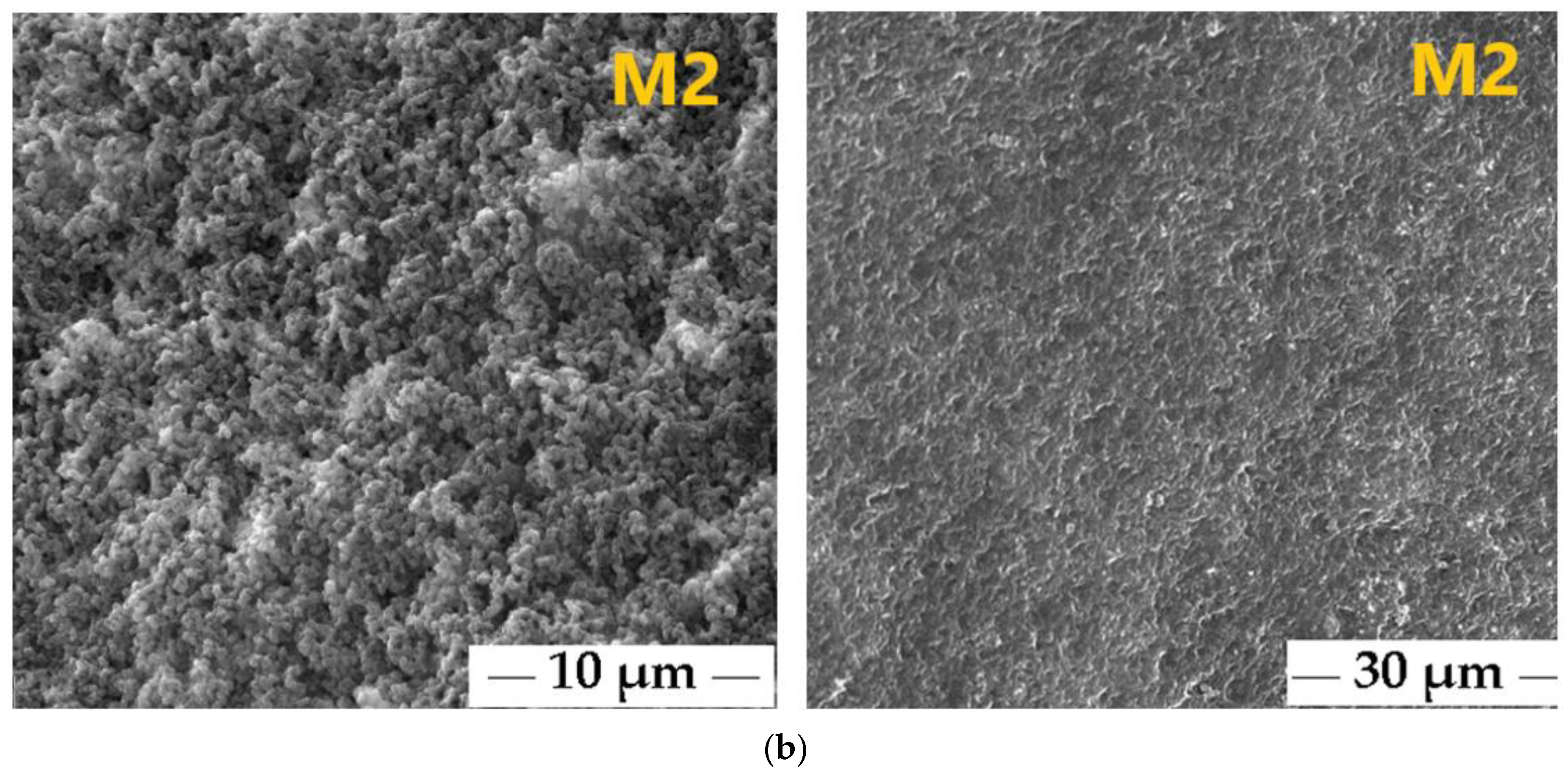 Polymers 17 00446 g008b