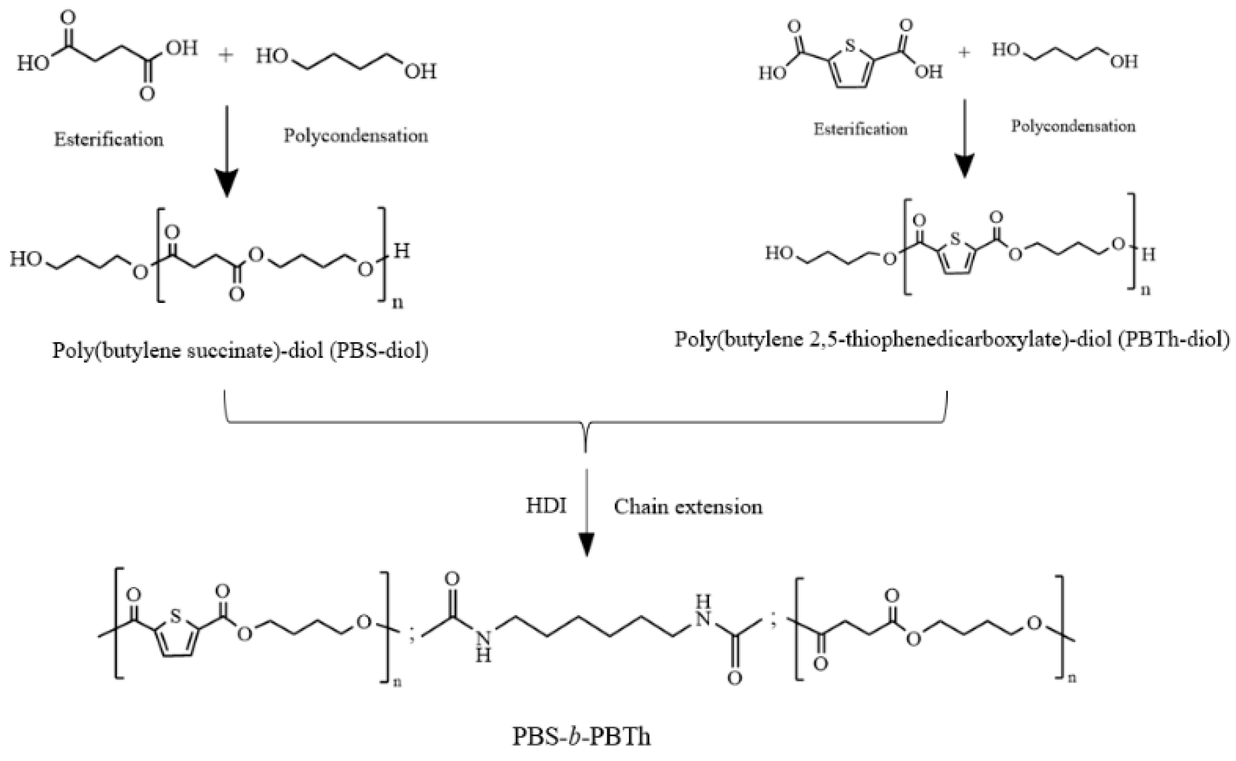Polymers 17 00450 g001