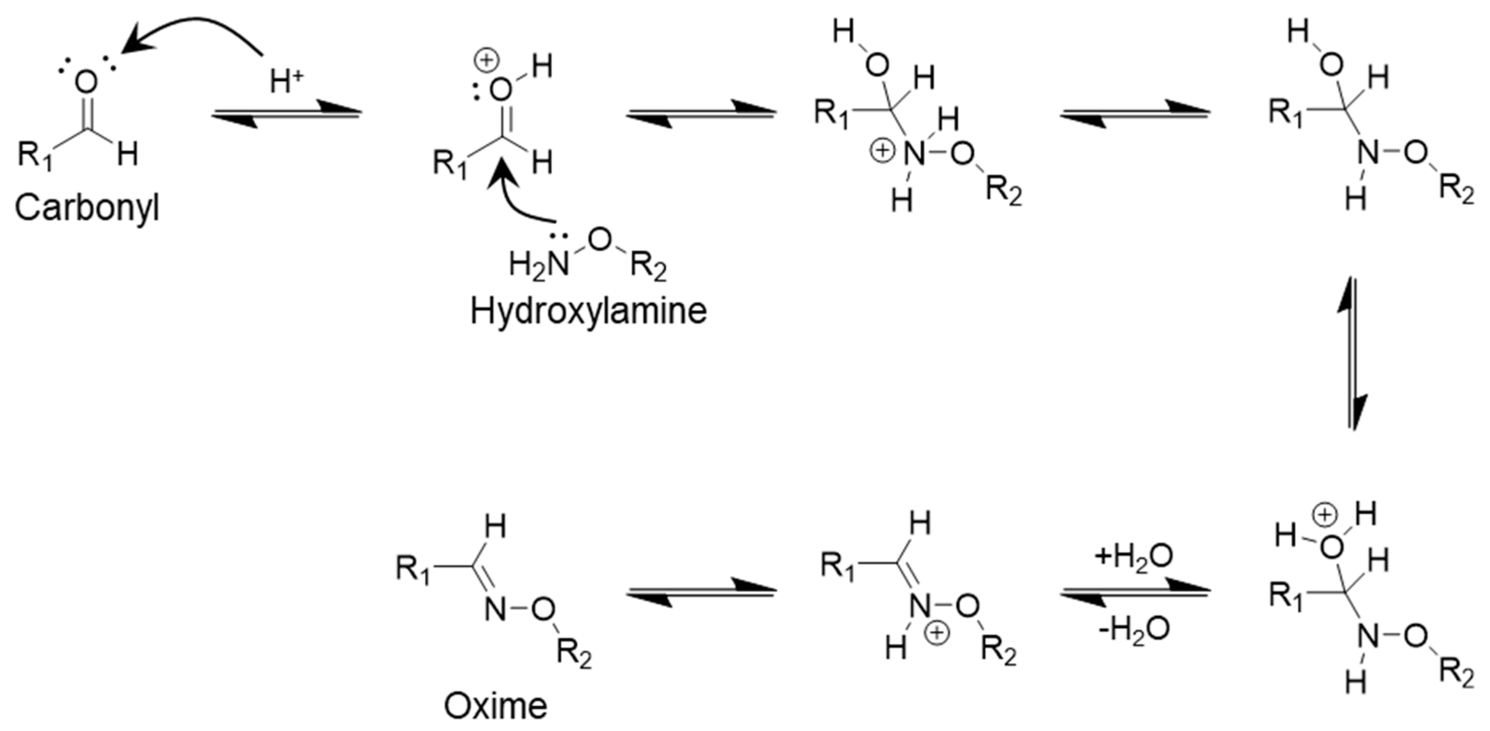 Polymers 17 00457 g004