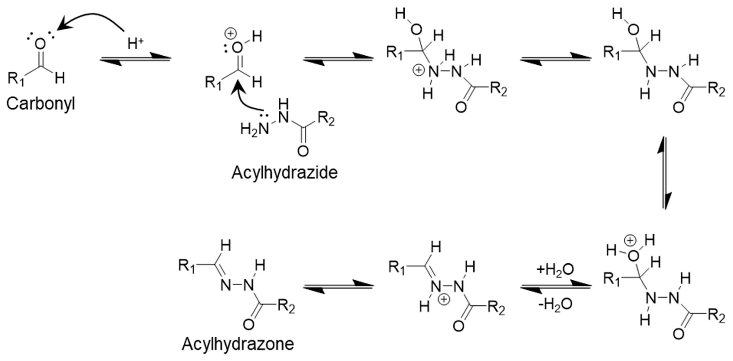 Polymers 17 00457 g005
