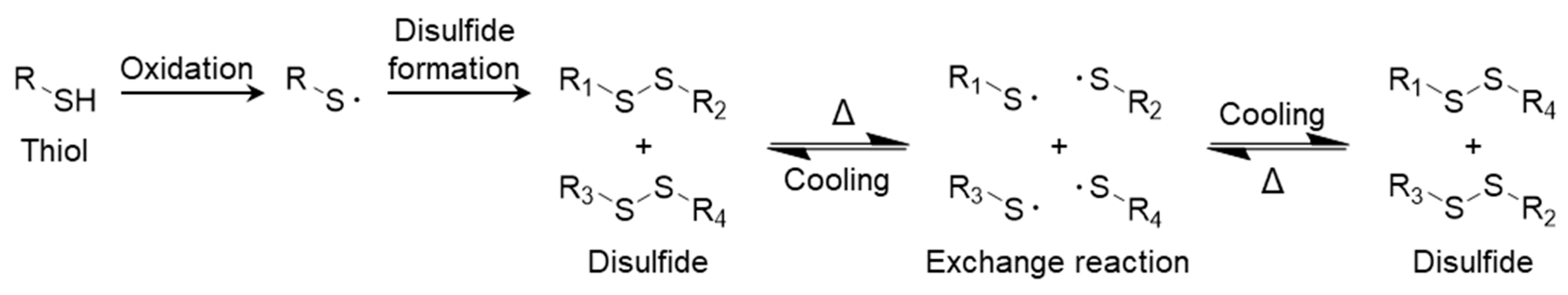 Polymers 17 00457 g006