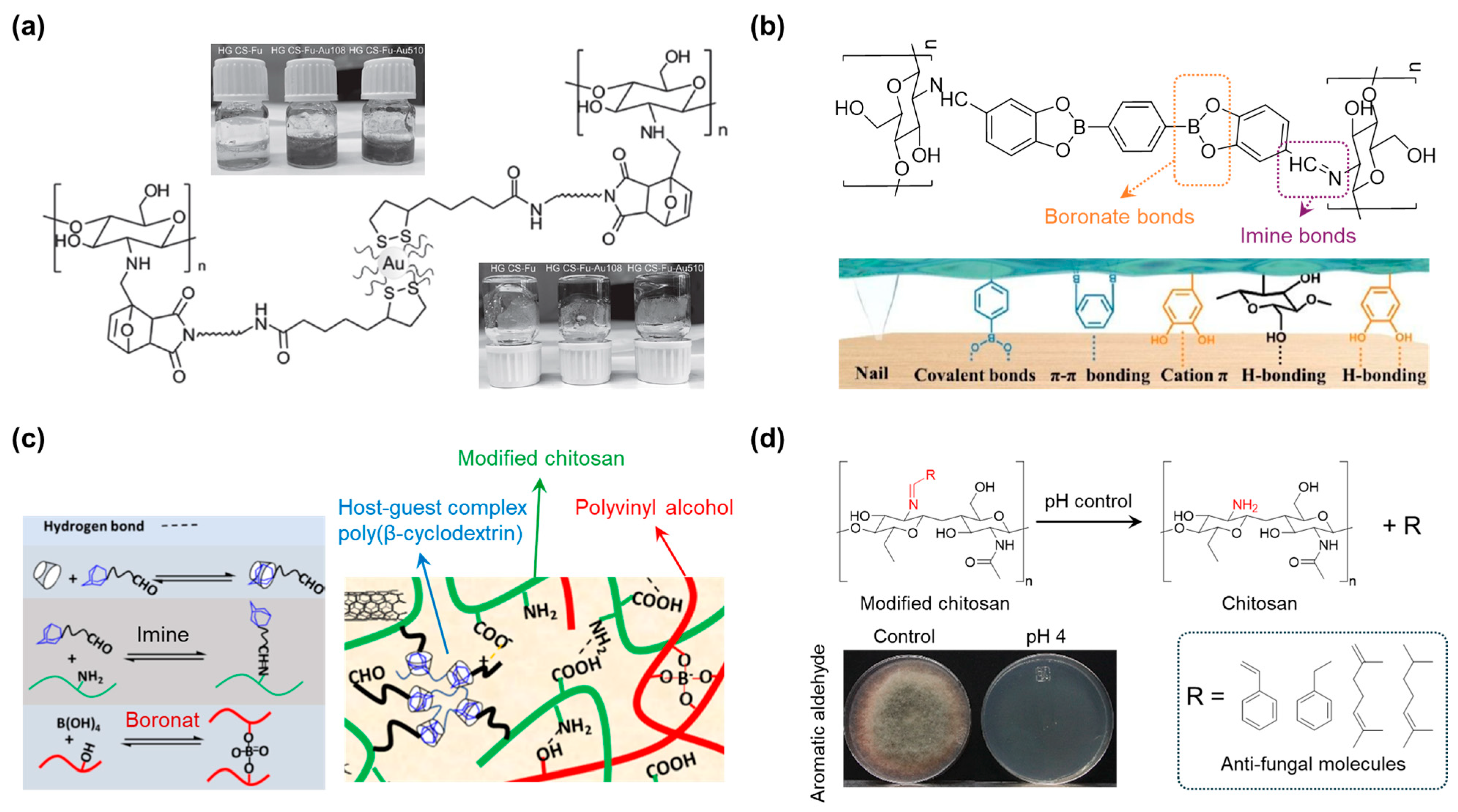 Polymers 17 00457 g011