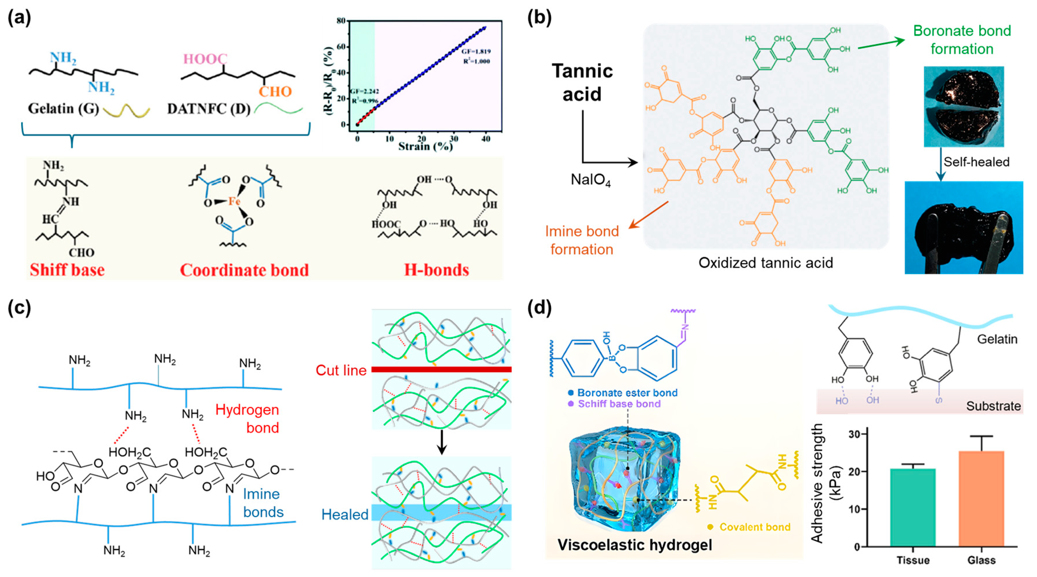 Polymers 17 00457 g012