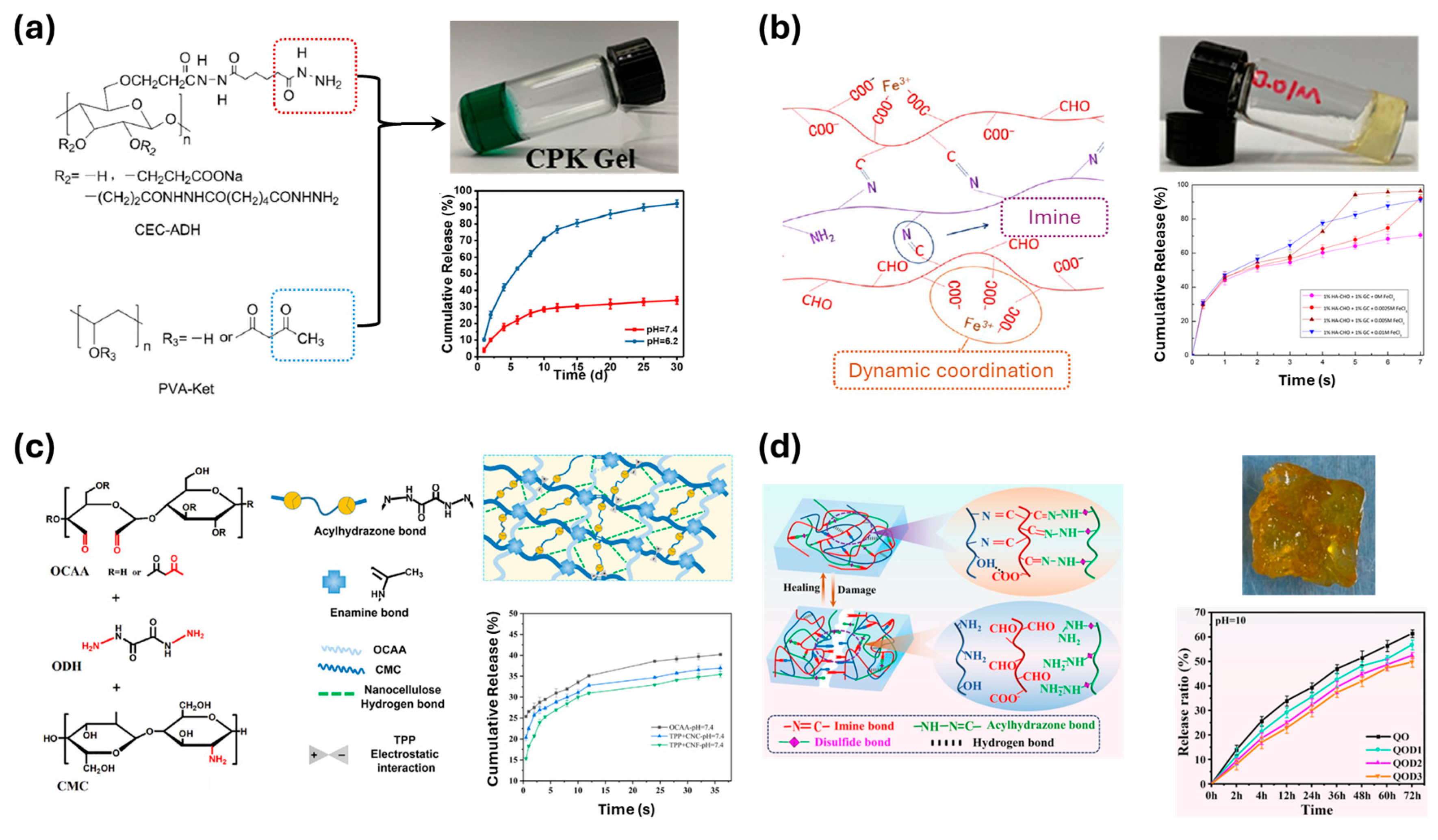Polymers 17 00457 g013