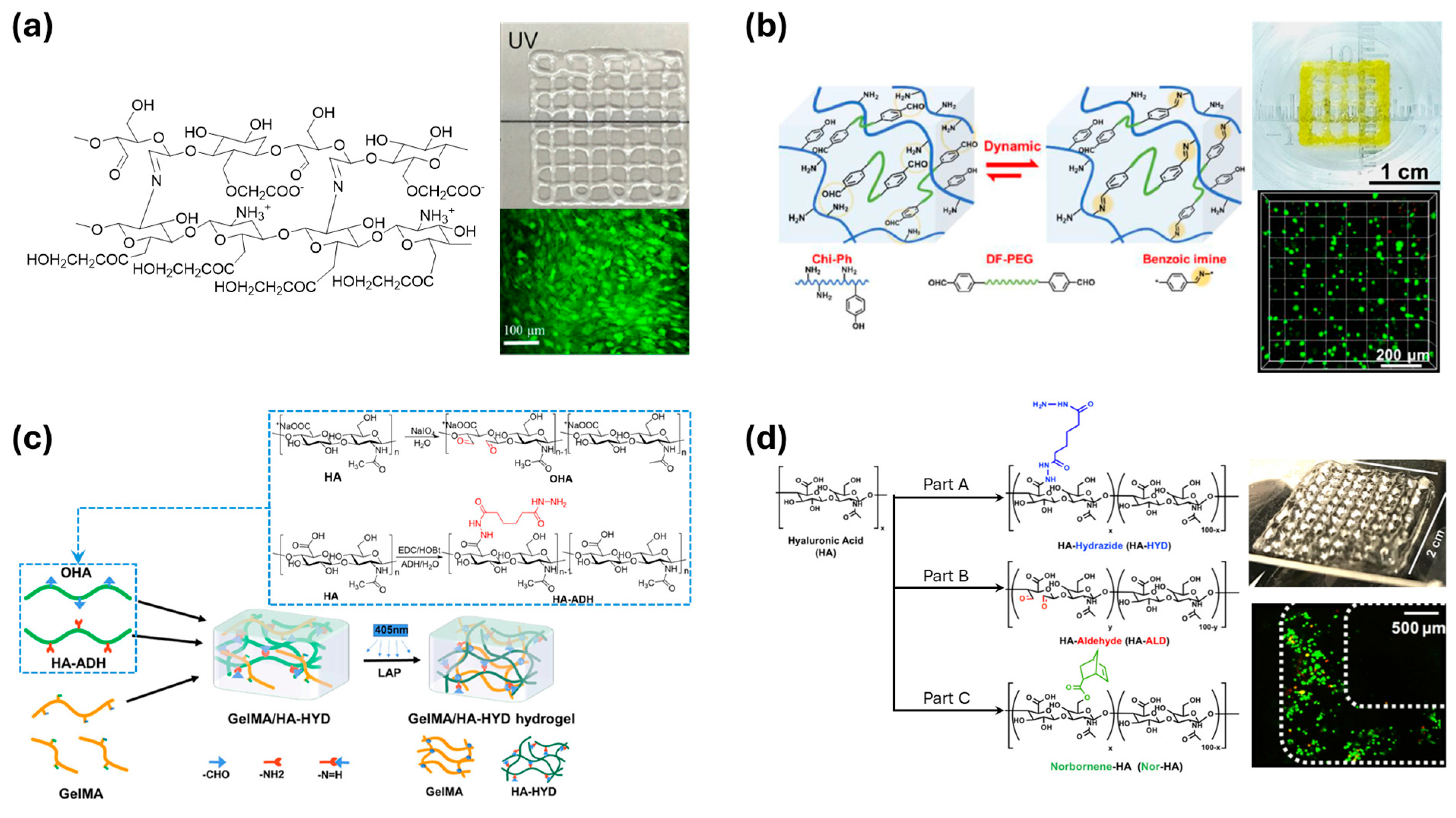 Polymers 17 00457 g015