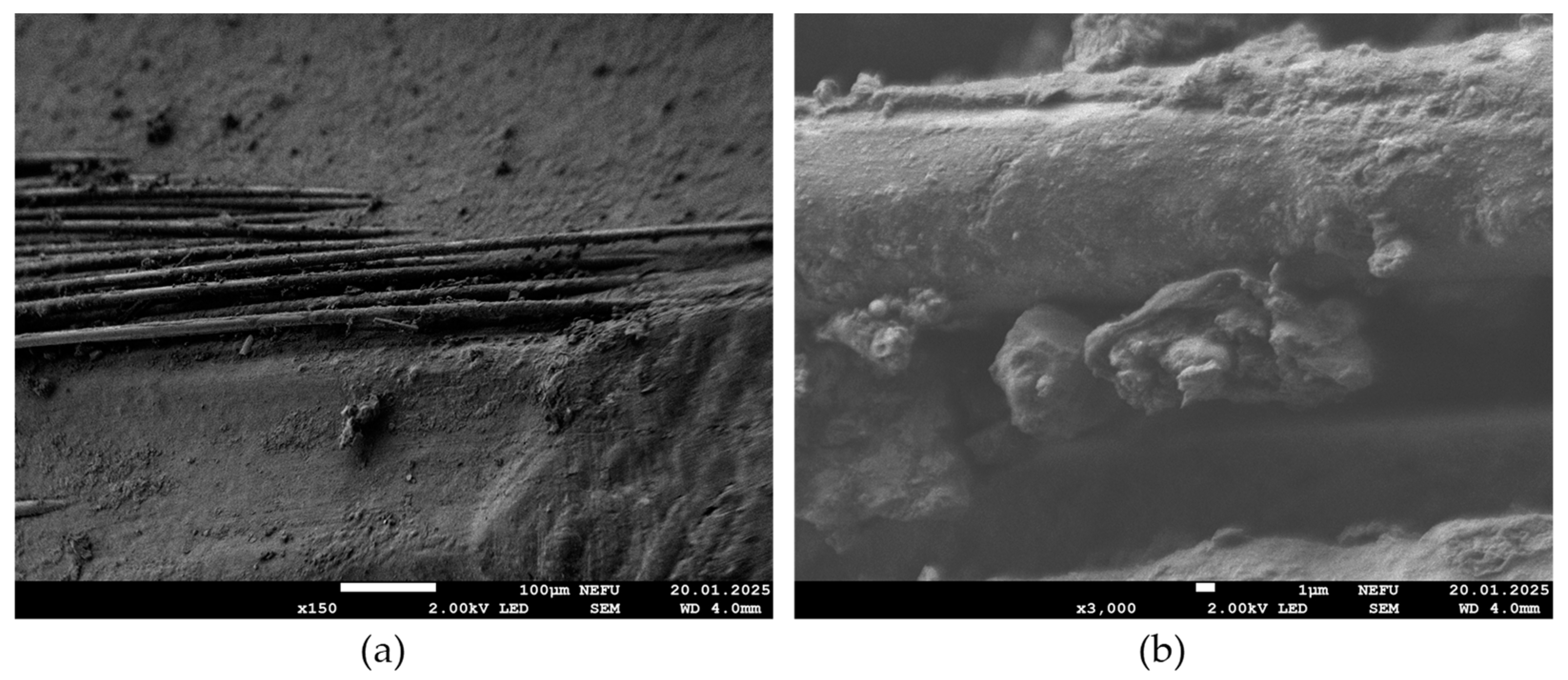 Polymers 17 00460 g009