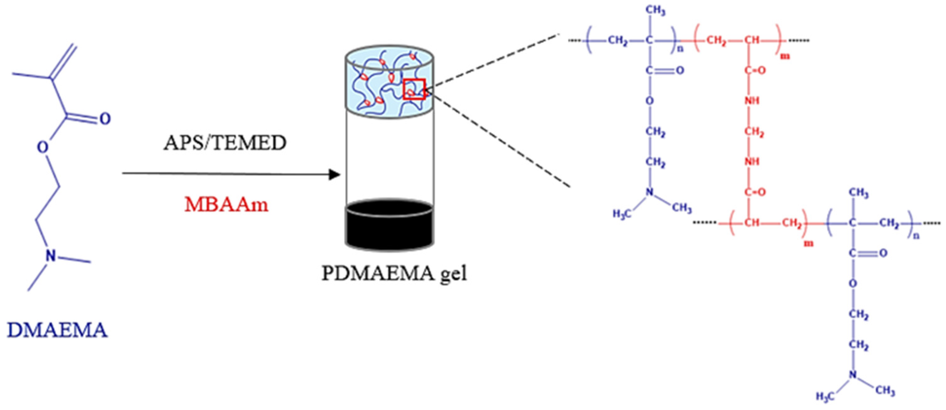 Polymers 17 00463 g001