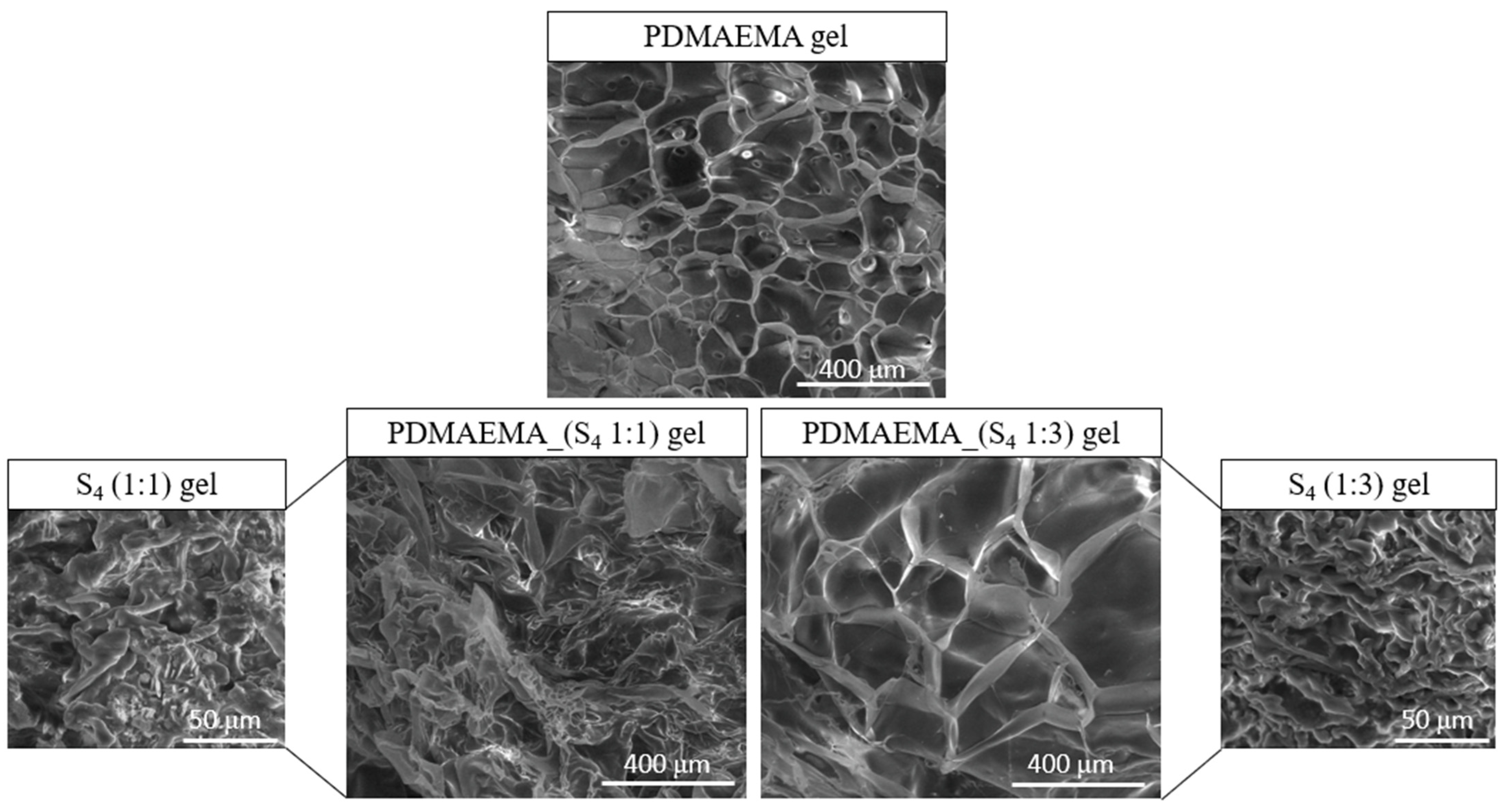 Polymers 17 00463 g006