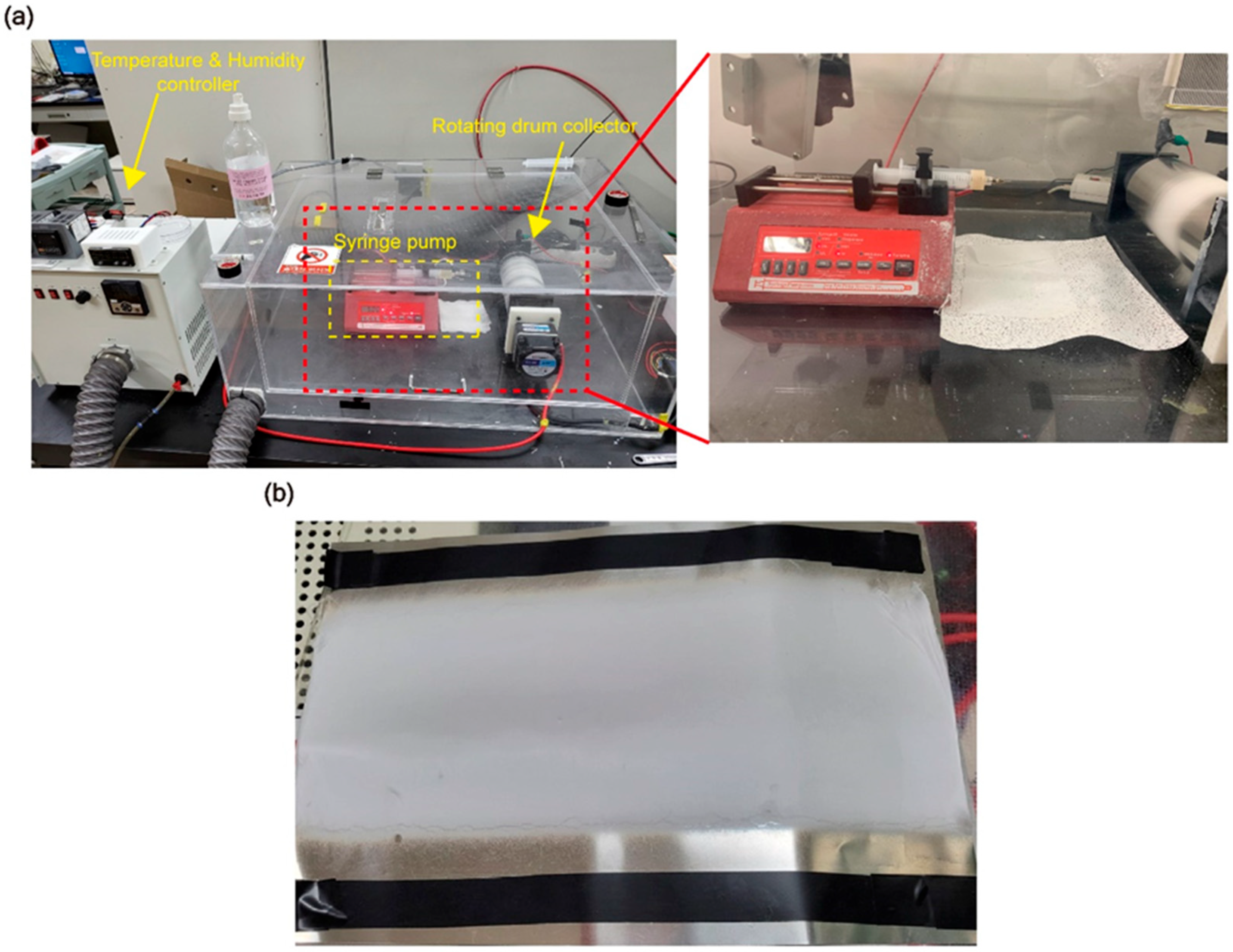 Polymers 17 00465 g001