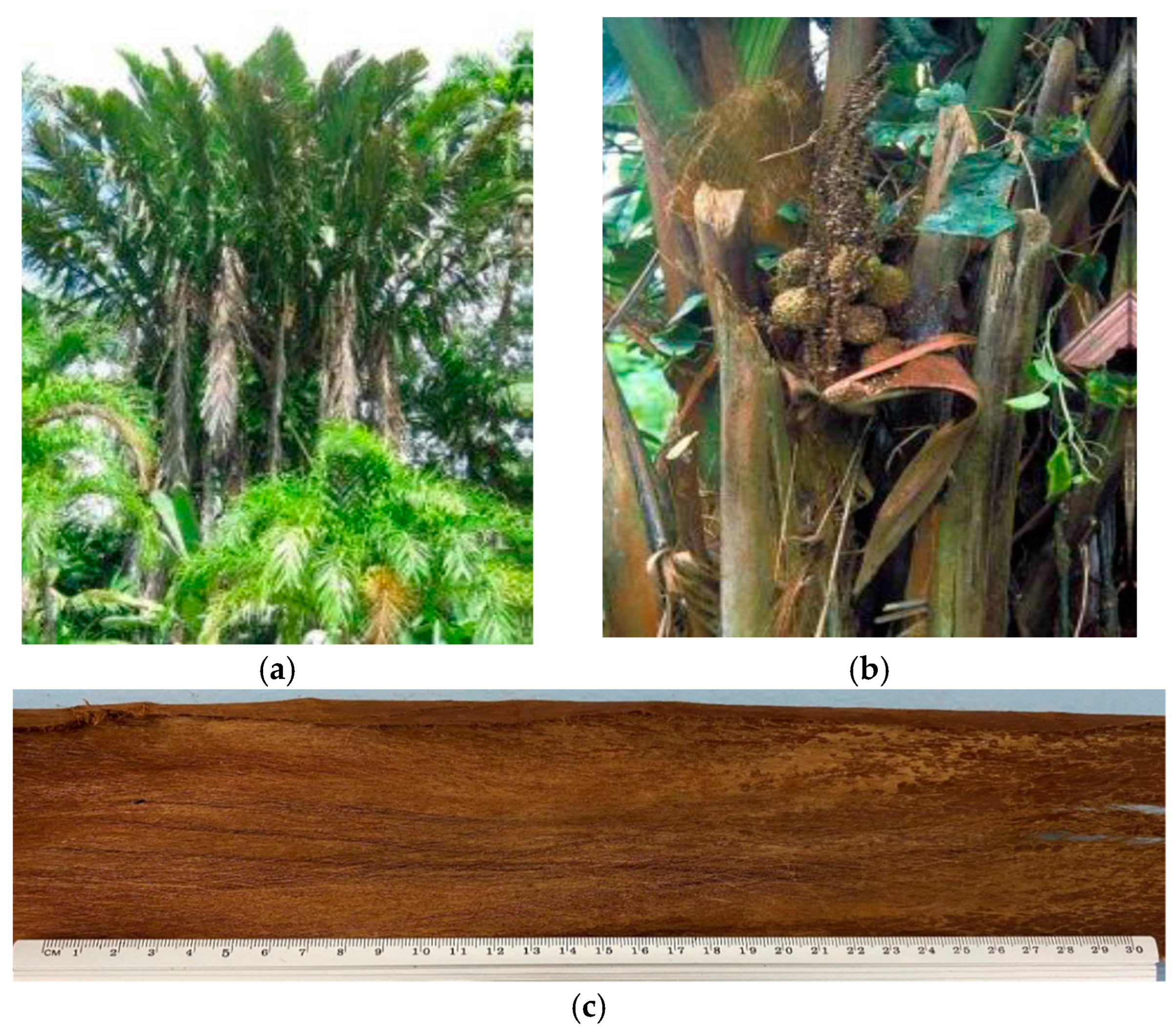 Polymers 17 00466 g001