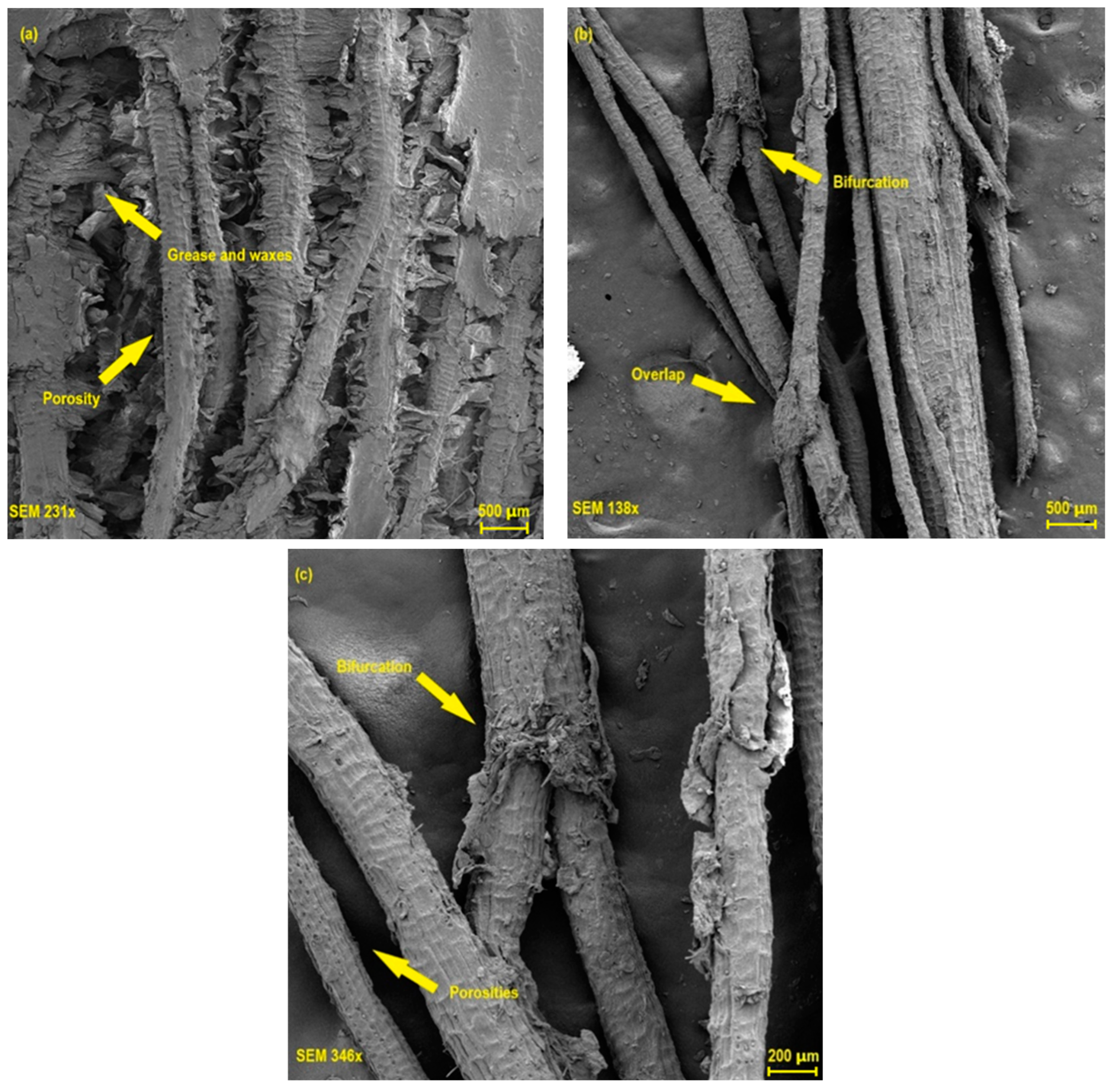 Polymers 17 00466 g005