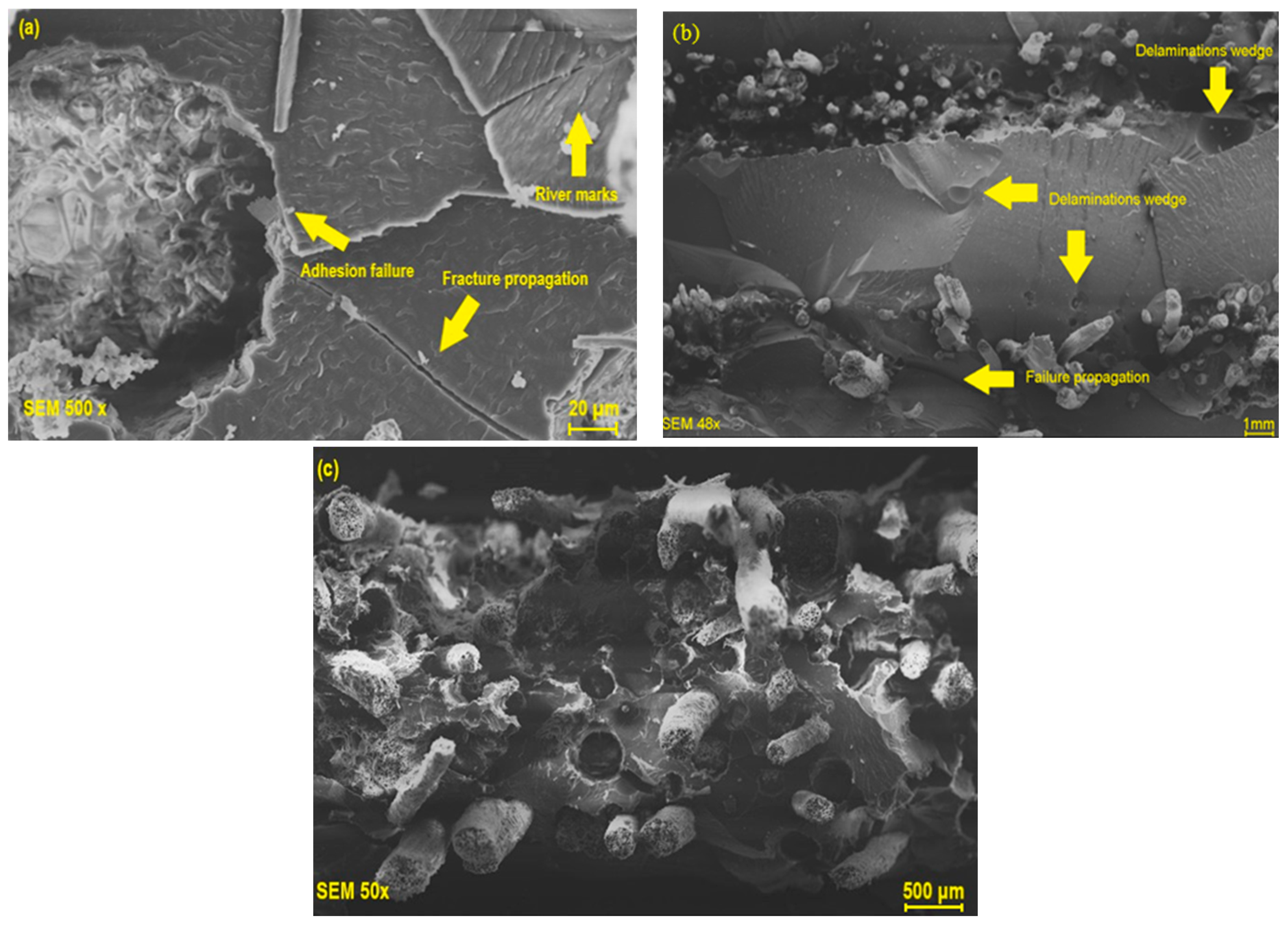 Polymers 17 00466 g013