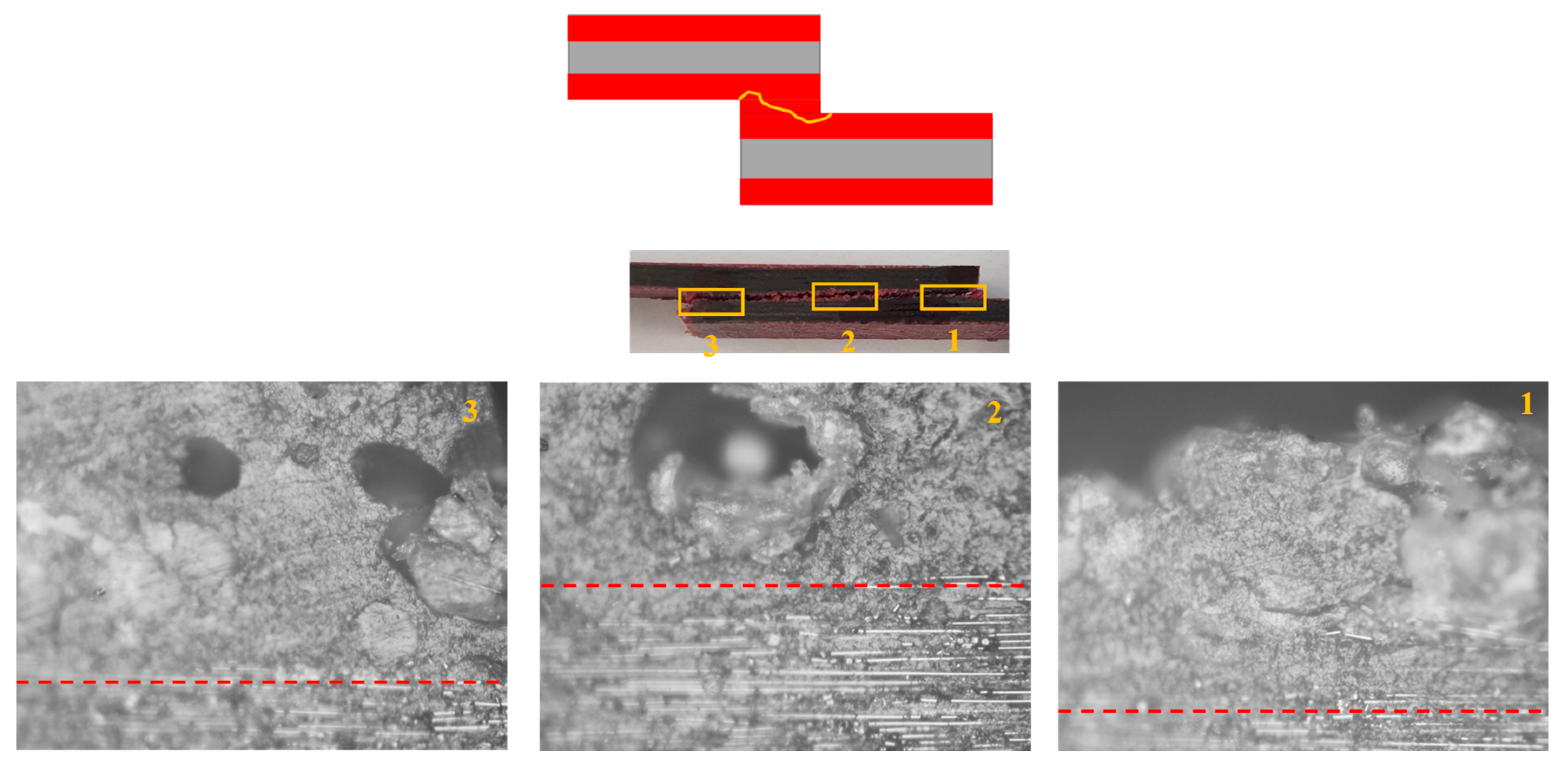 Polymers 17 00469 g013