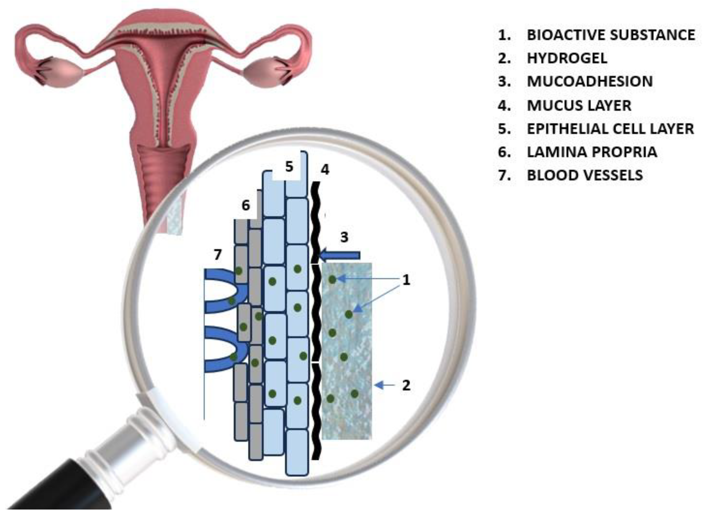 tween open vagina 