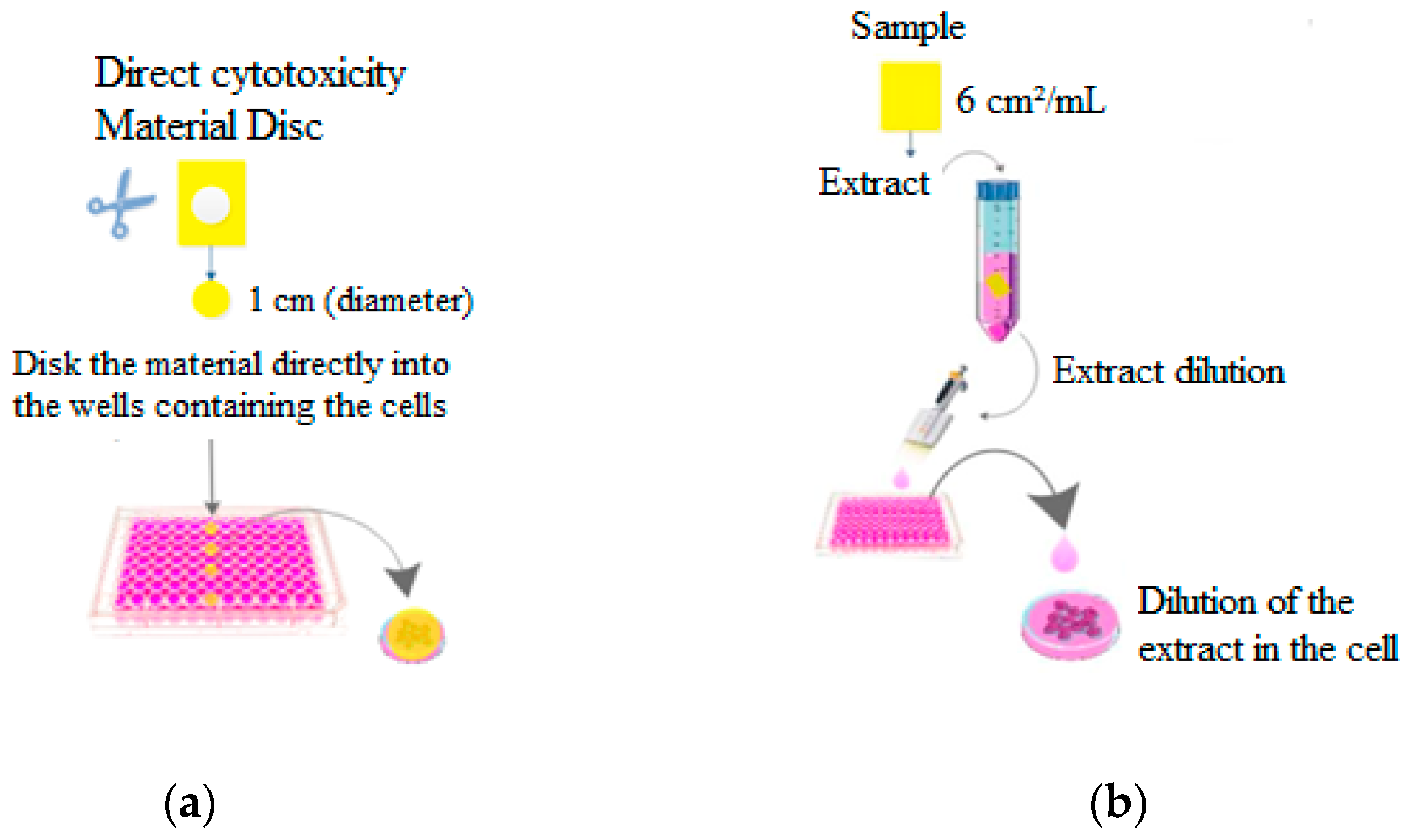 Polymers 17 00473 g001