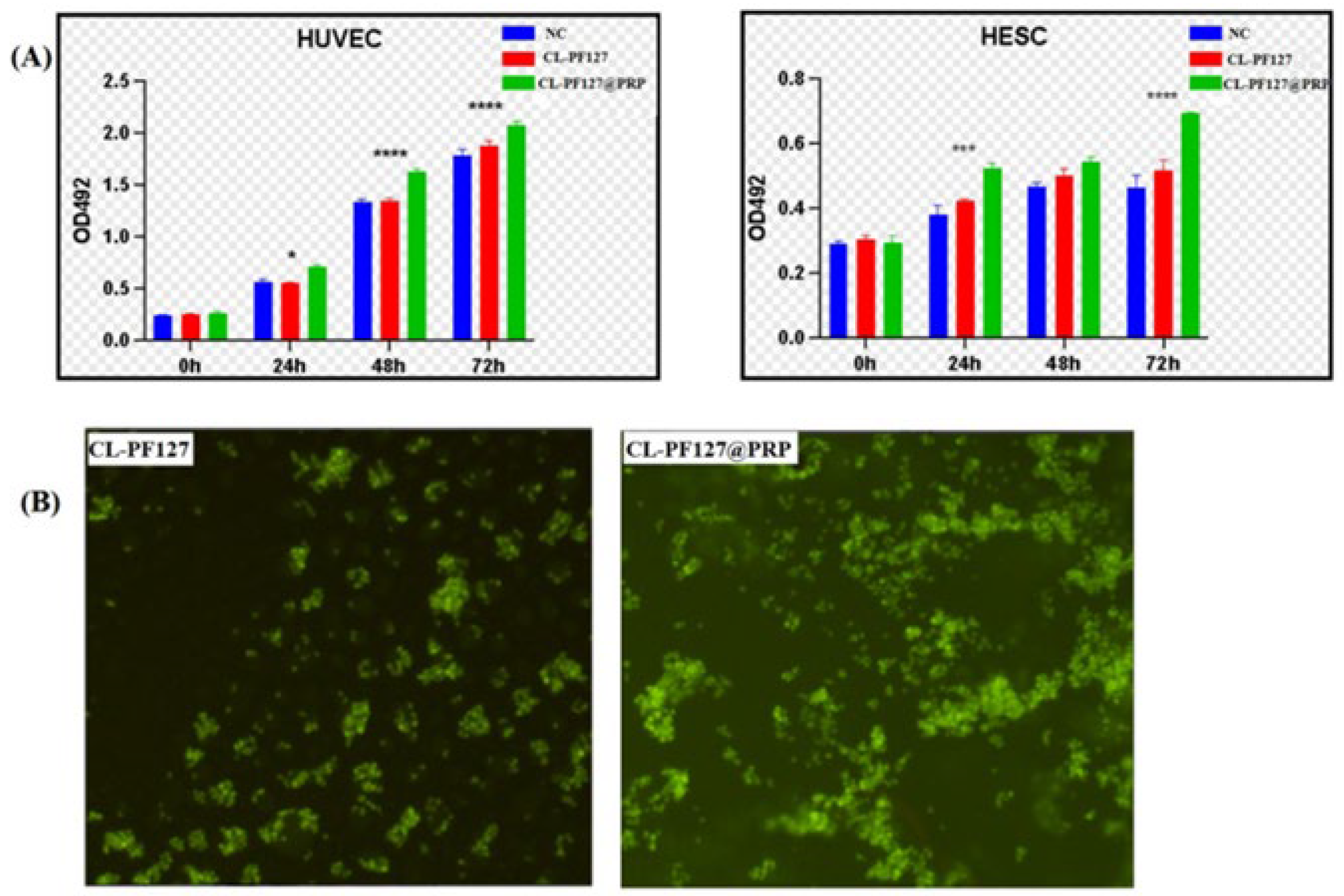 Polymers 17 00474 g003