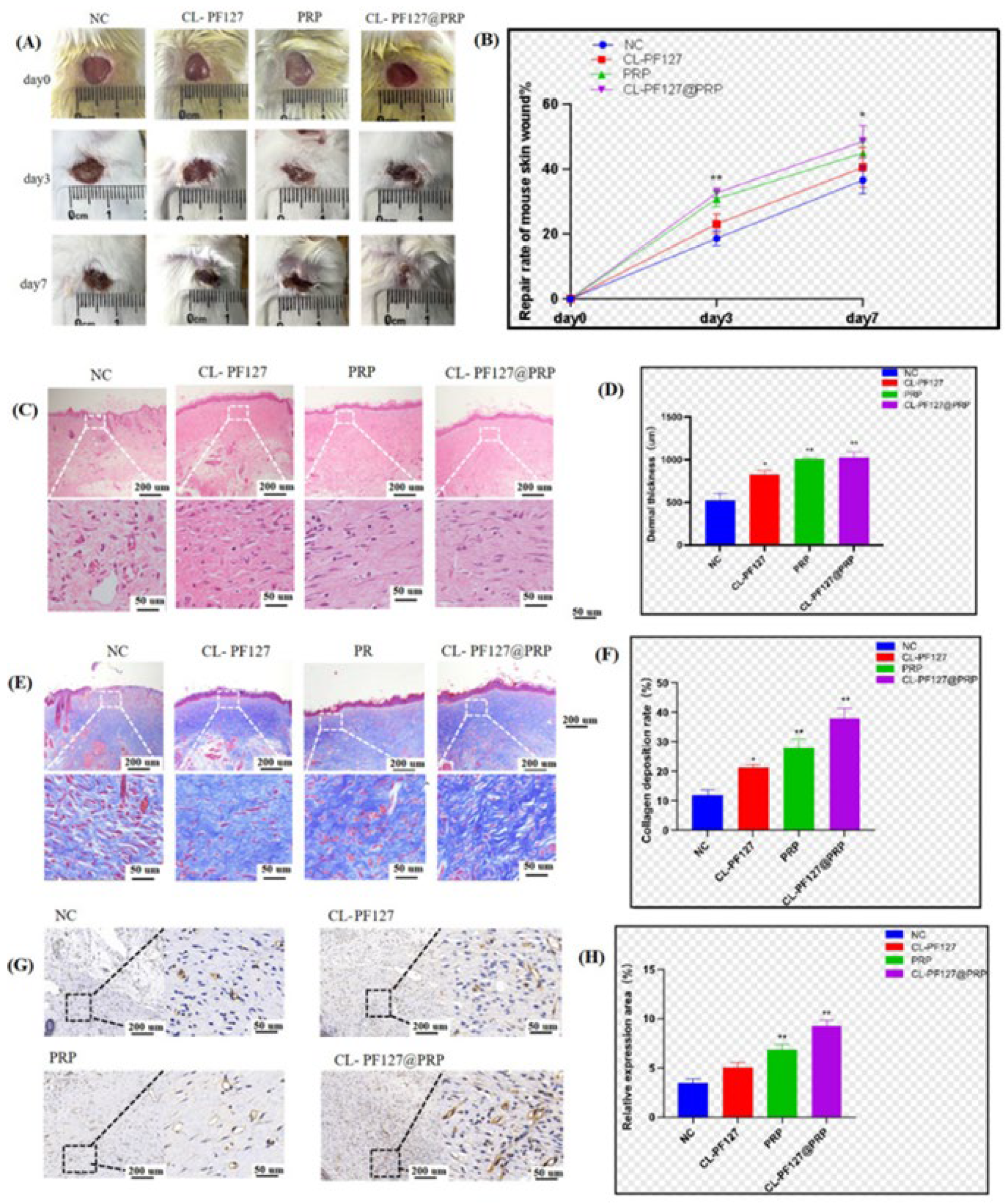 Polymers 17 00474 g005
