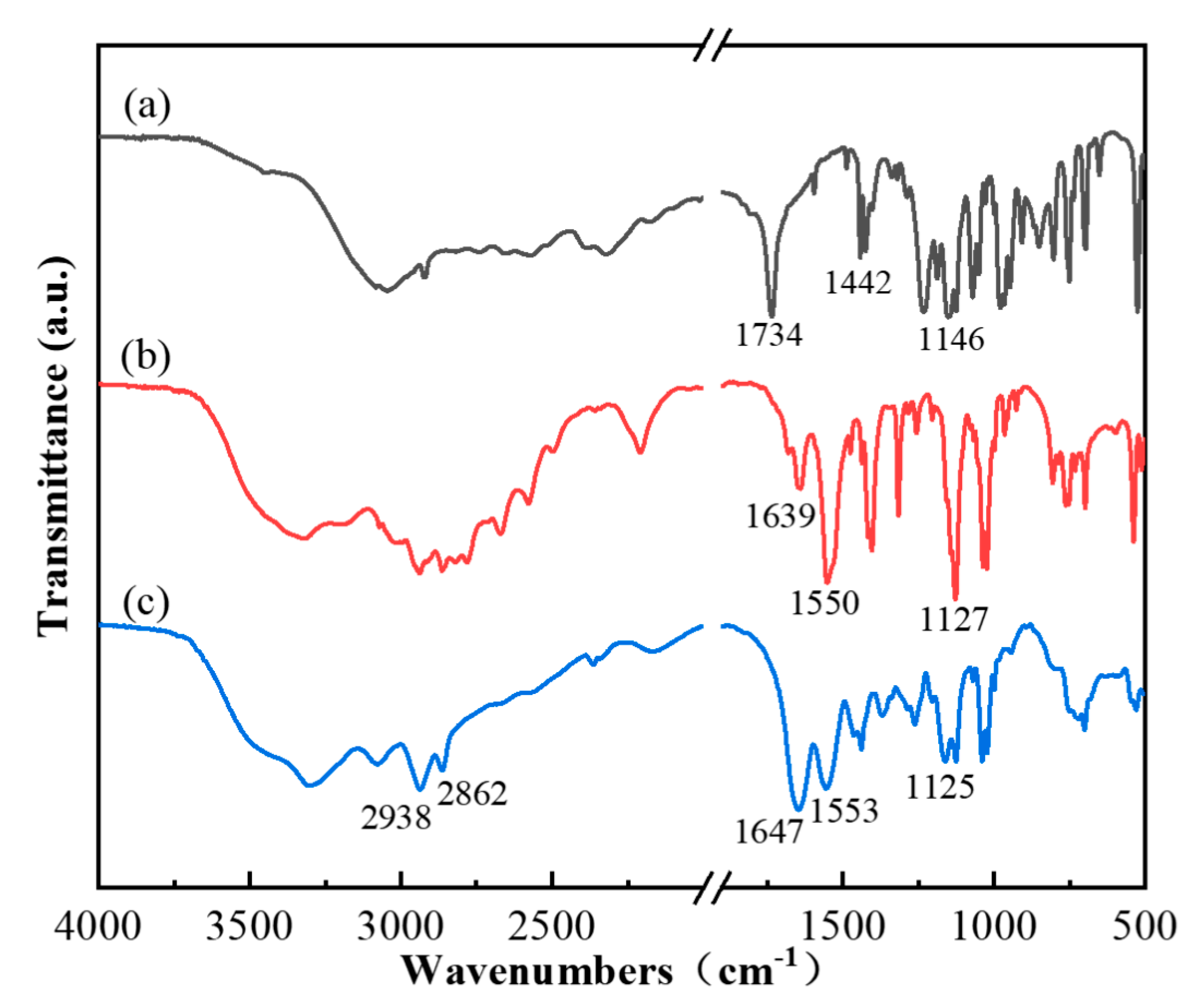 Polymers 17 00475 g001