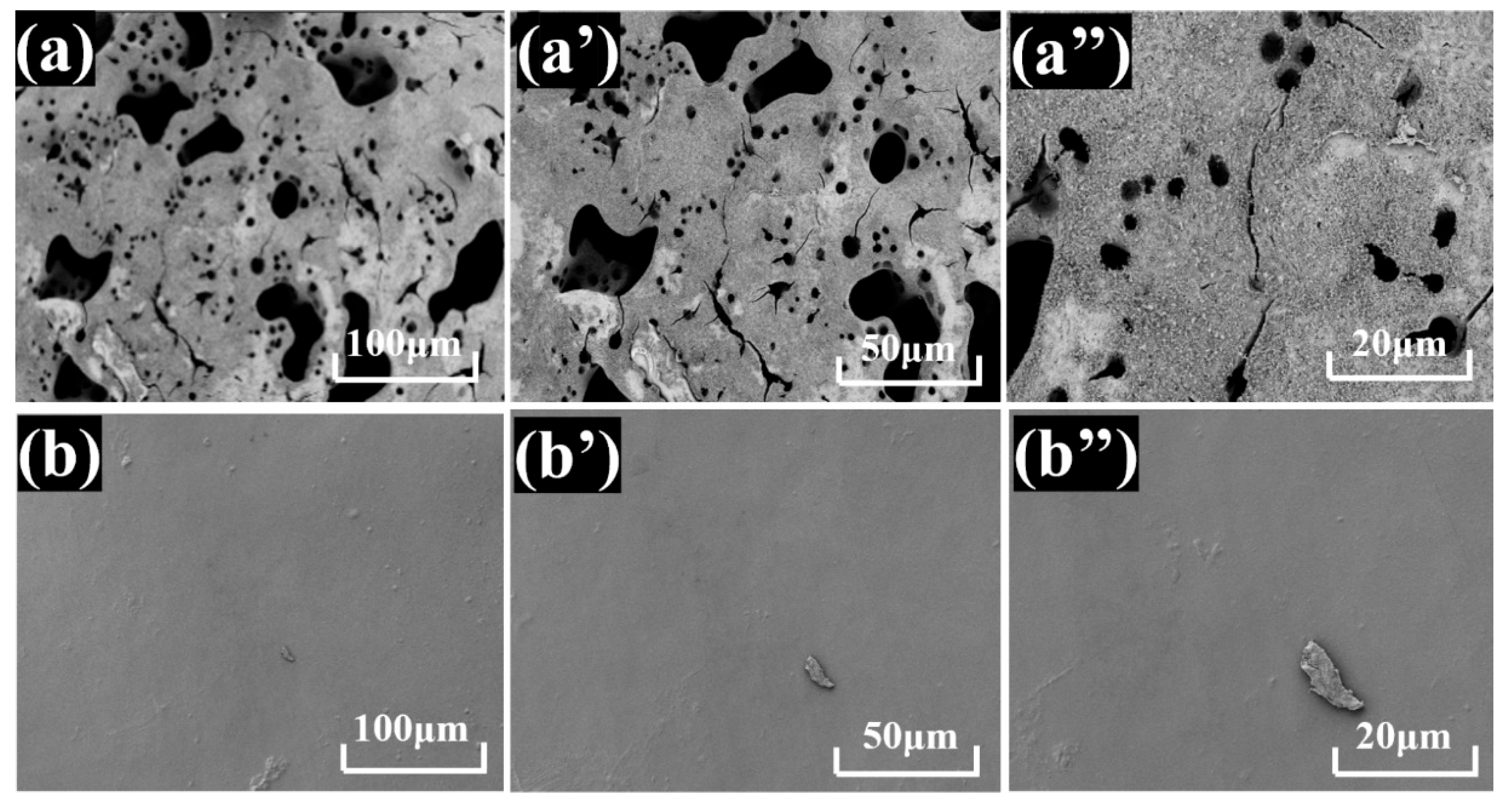 Polymers 17 00475 g010