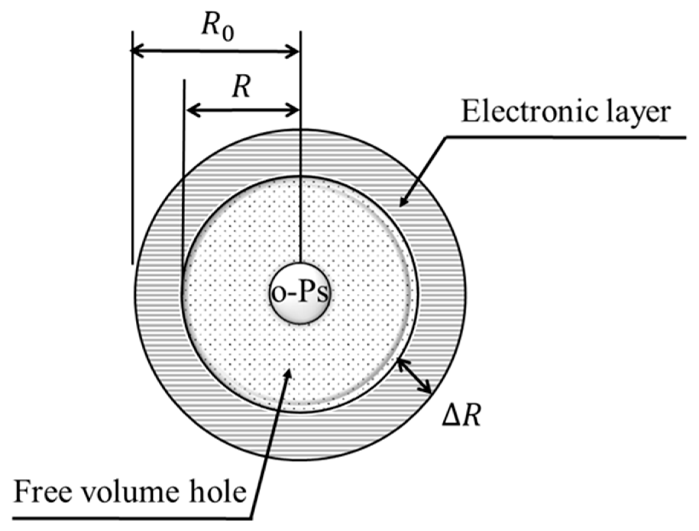 Polymers 17 00477 g003