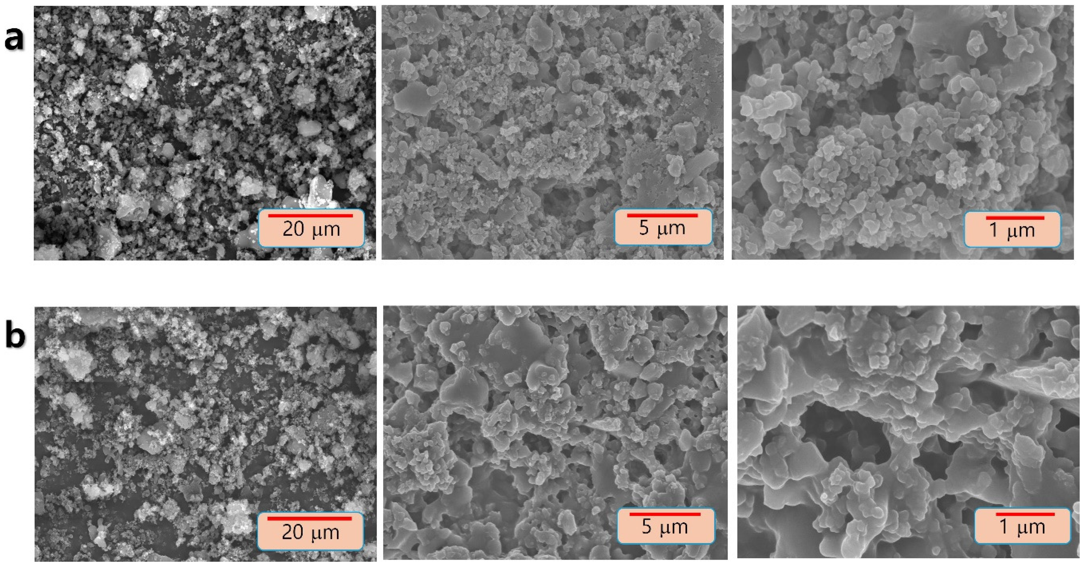 Polymers 17 00478 g001