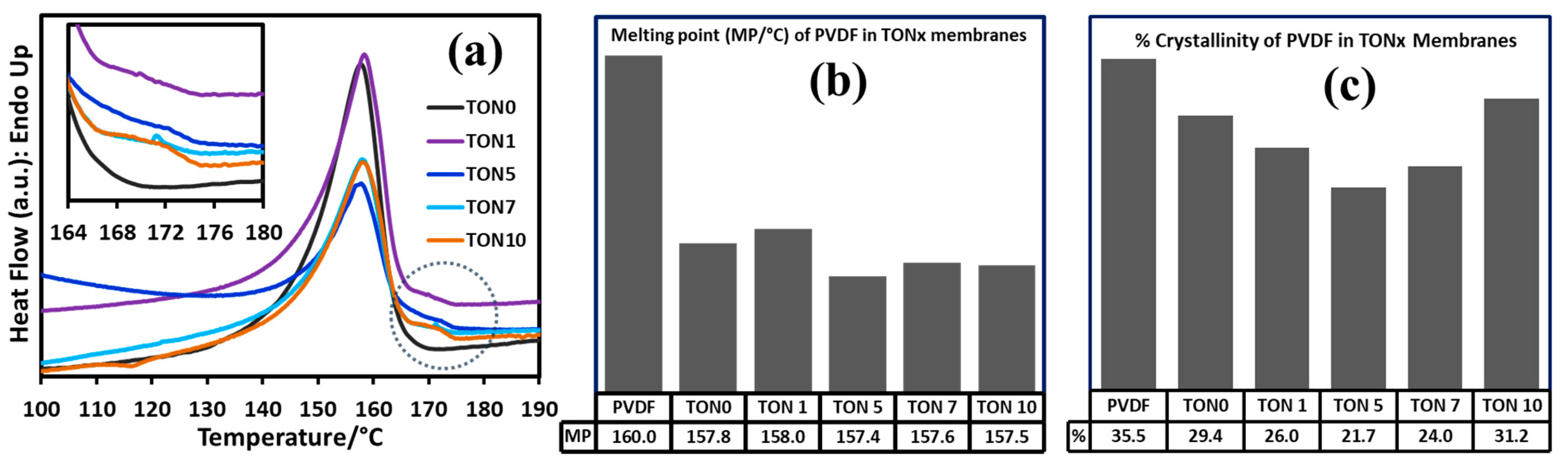 Polymers 17 00481 g007