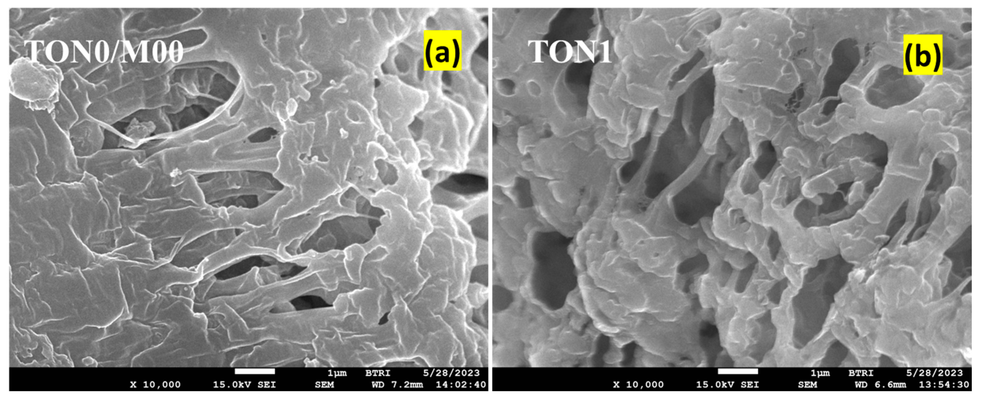 Polymers 17 00481 g008