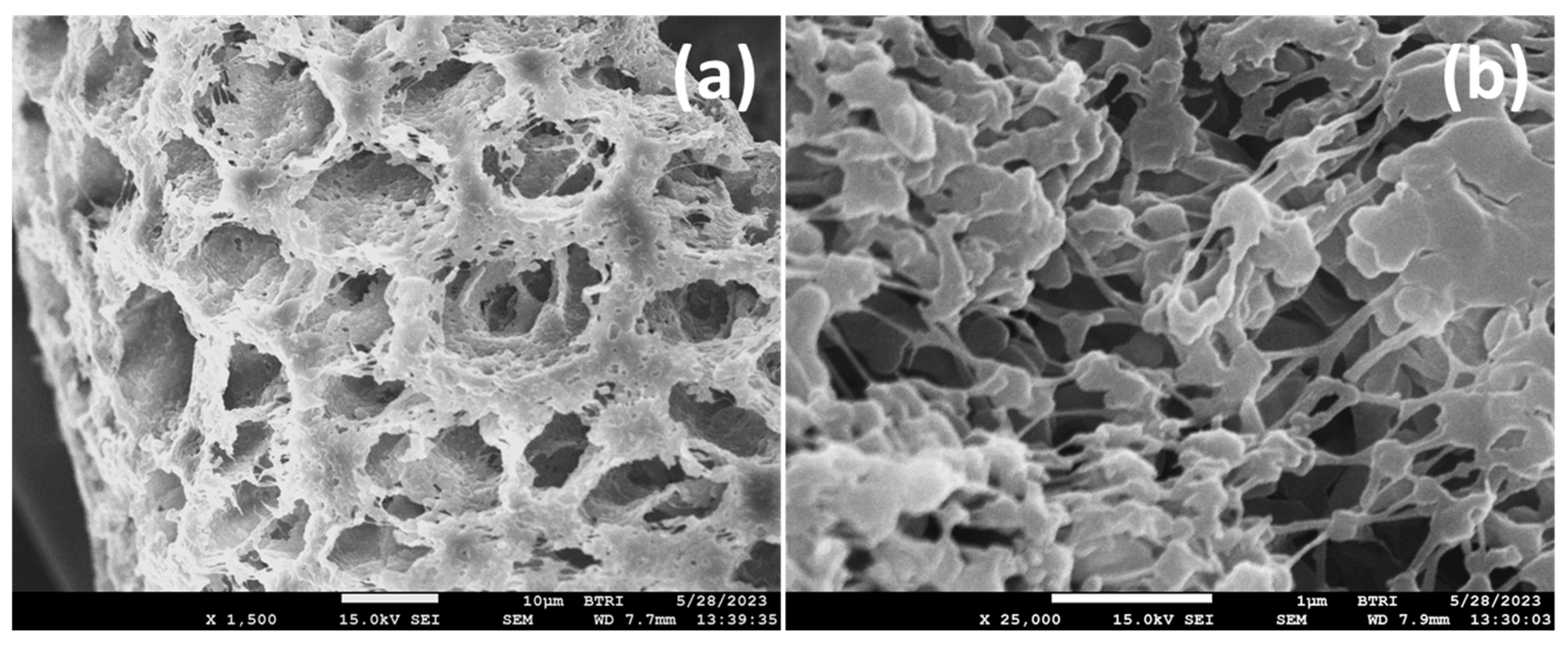 Polymers 17 00481 g016