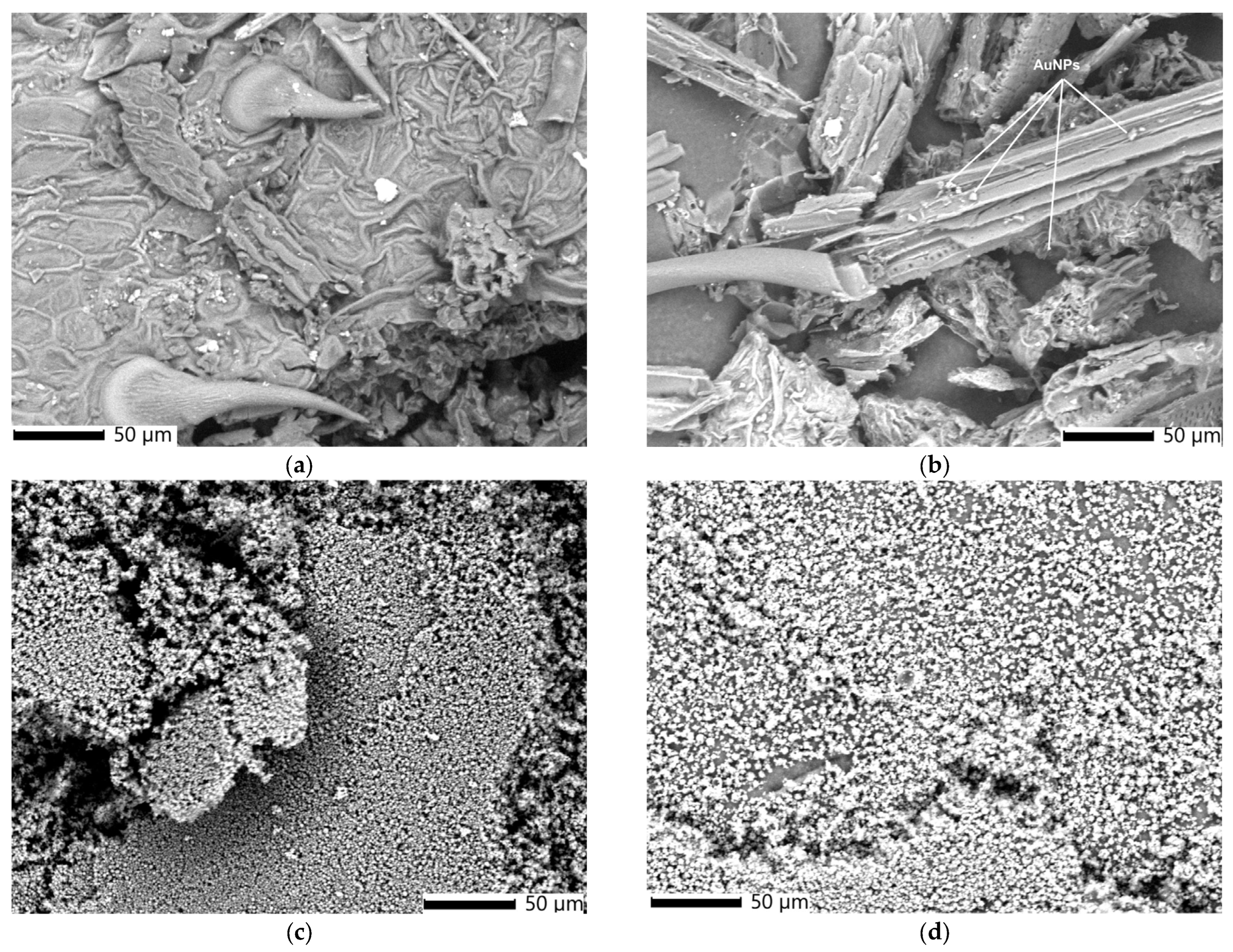 Polymers 17 00482 g005