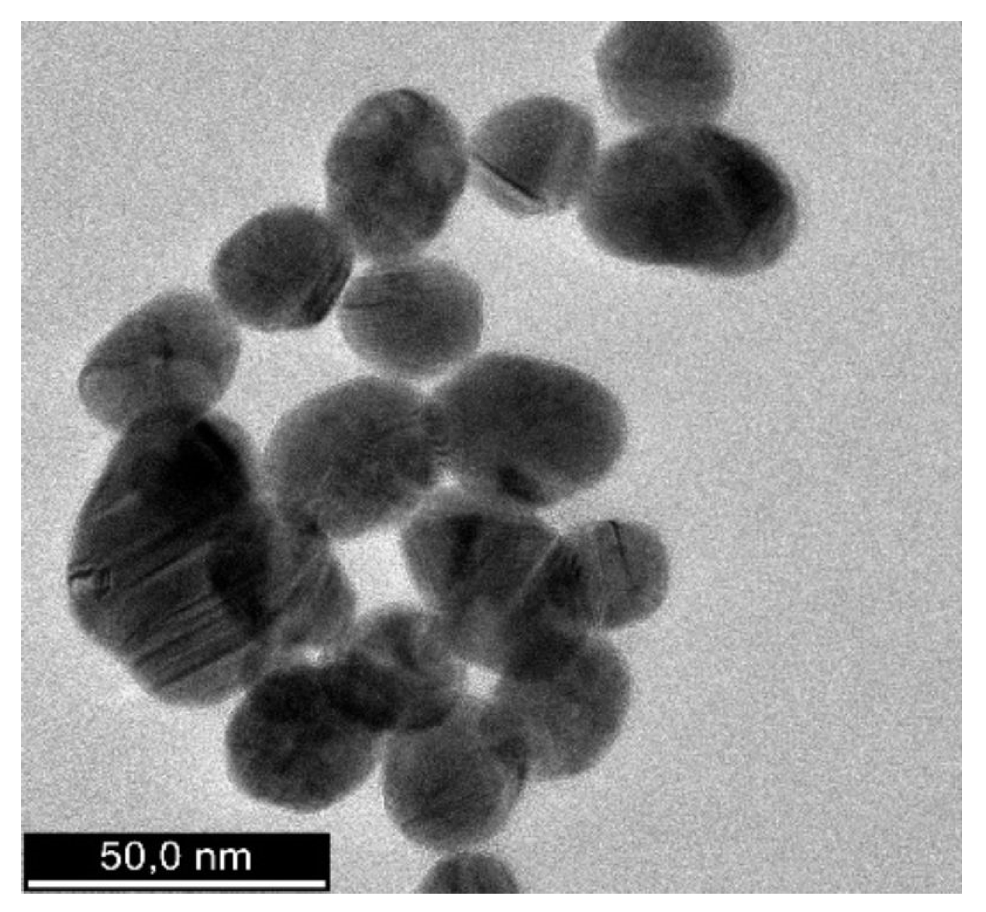 Polymers 17 00482 g006
