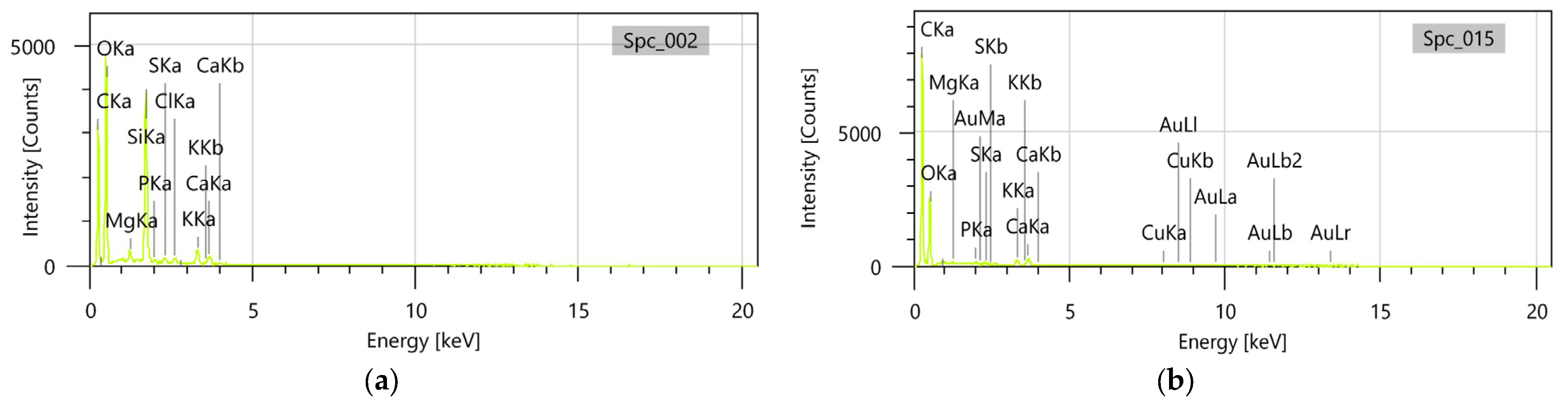 Polymers 17 00482 g007