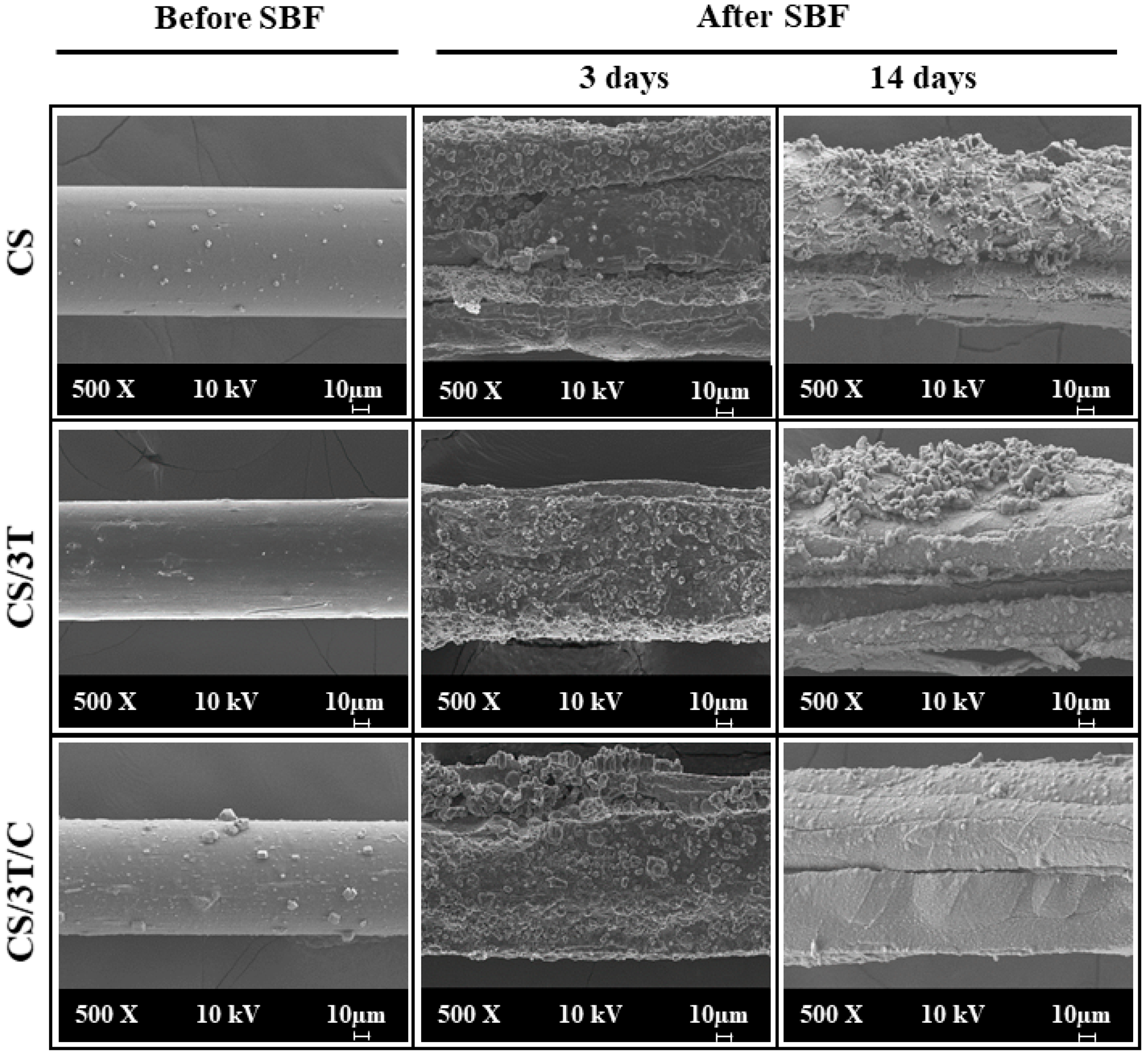 Polymers 17 00484 g001