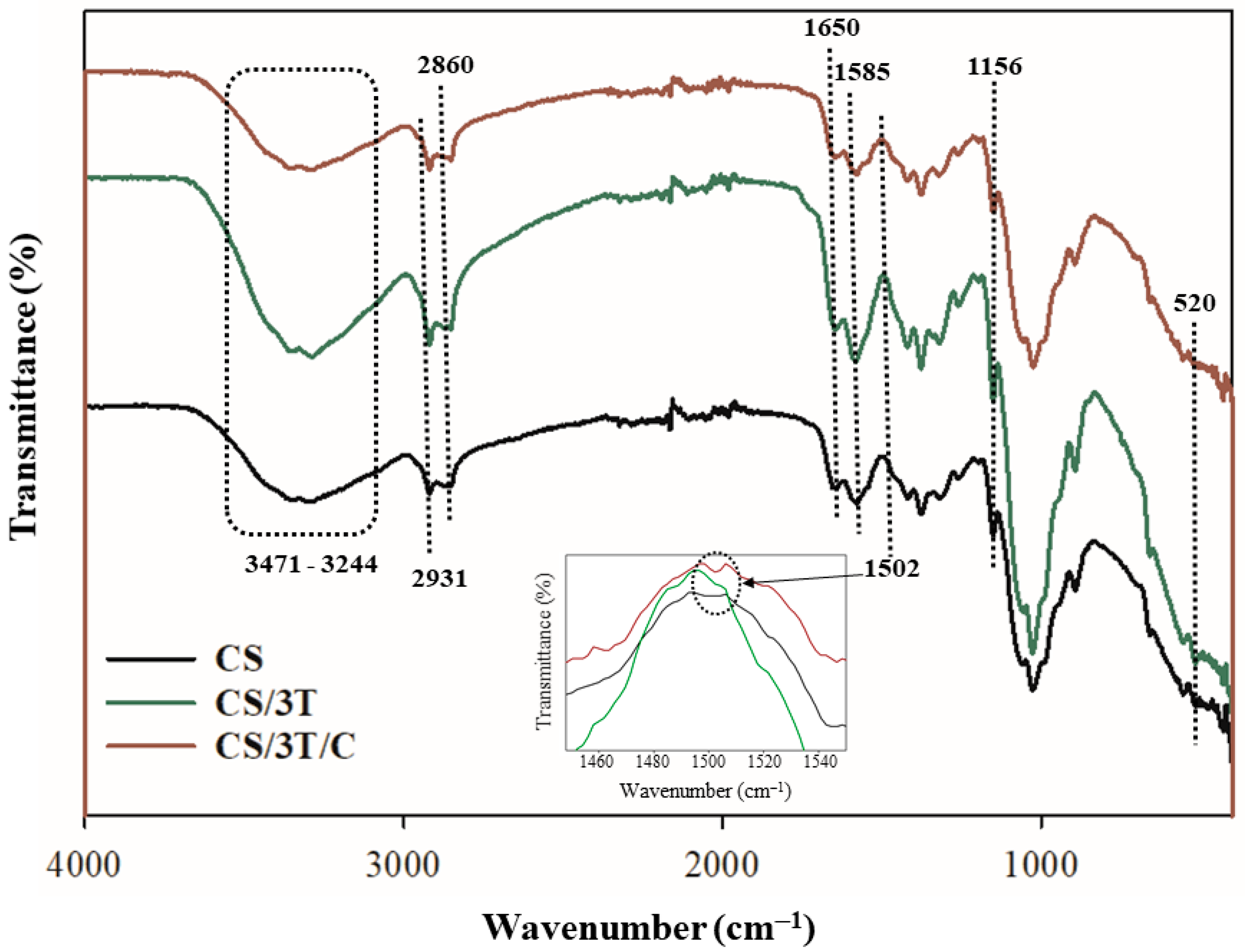 Polymers 17 00484 g002
