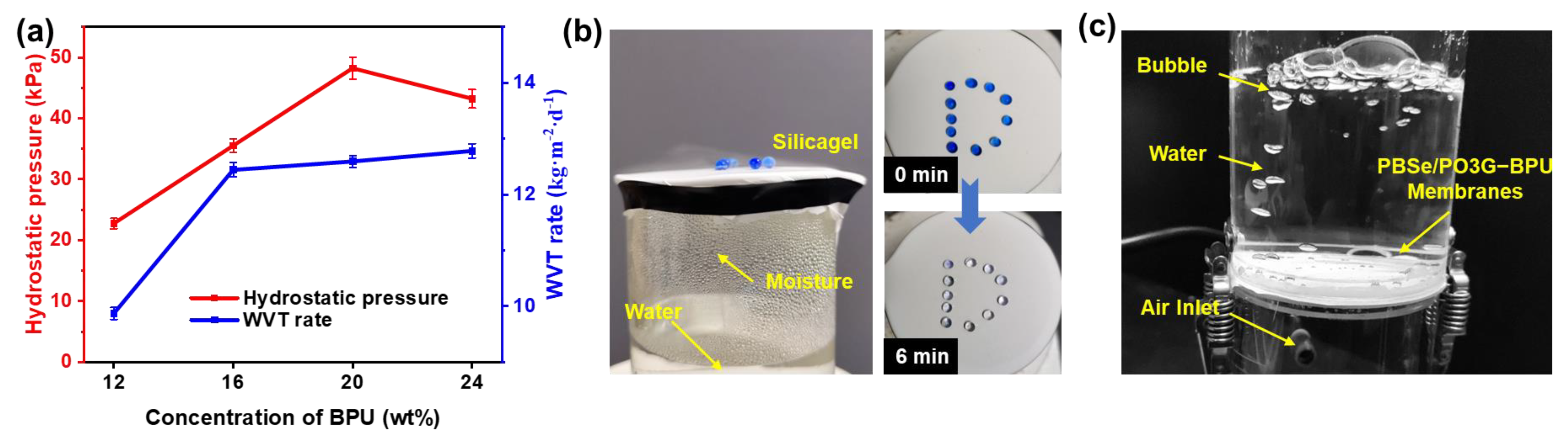 Polymers 17 00486 g005