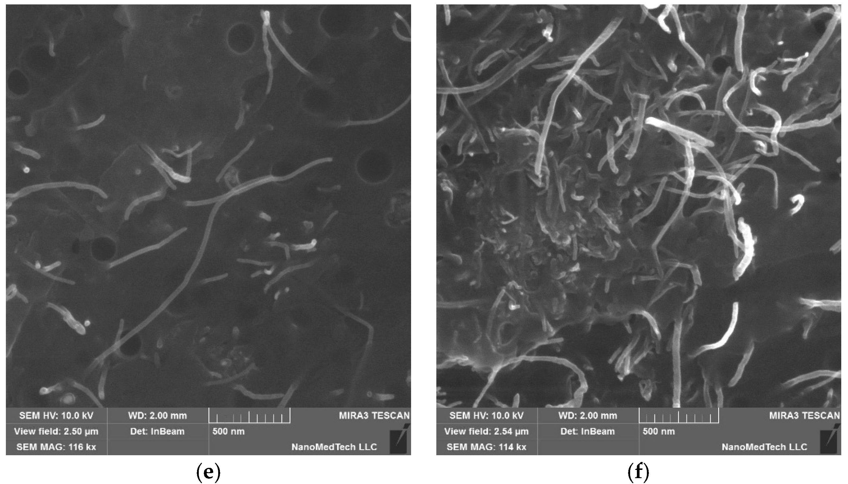 Polymers 17 00492 g001b