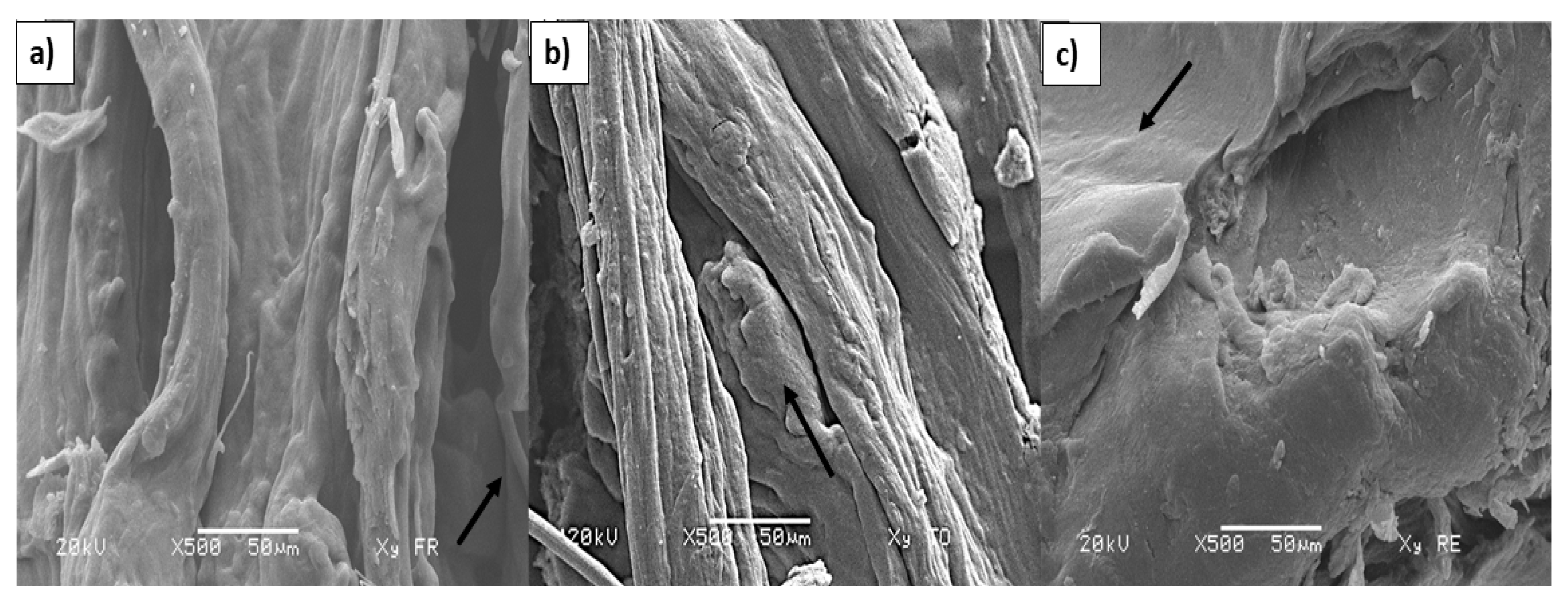 Polymers 17 00498 g003 Polymers 17 00498 g003