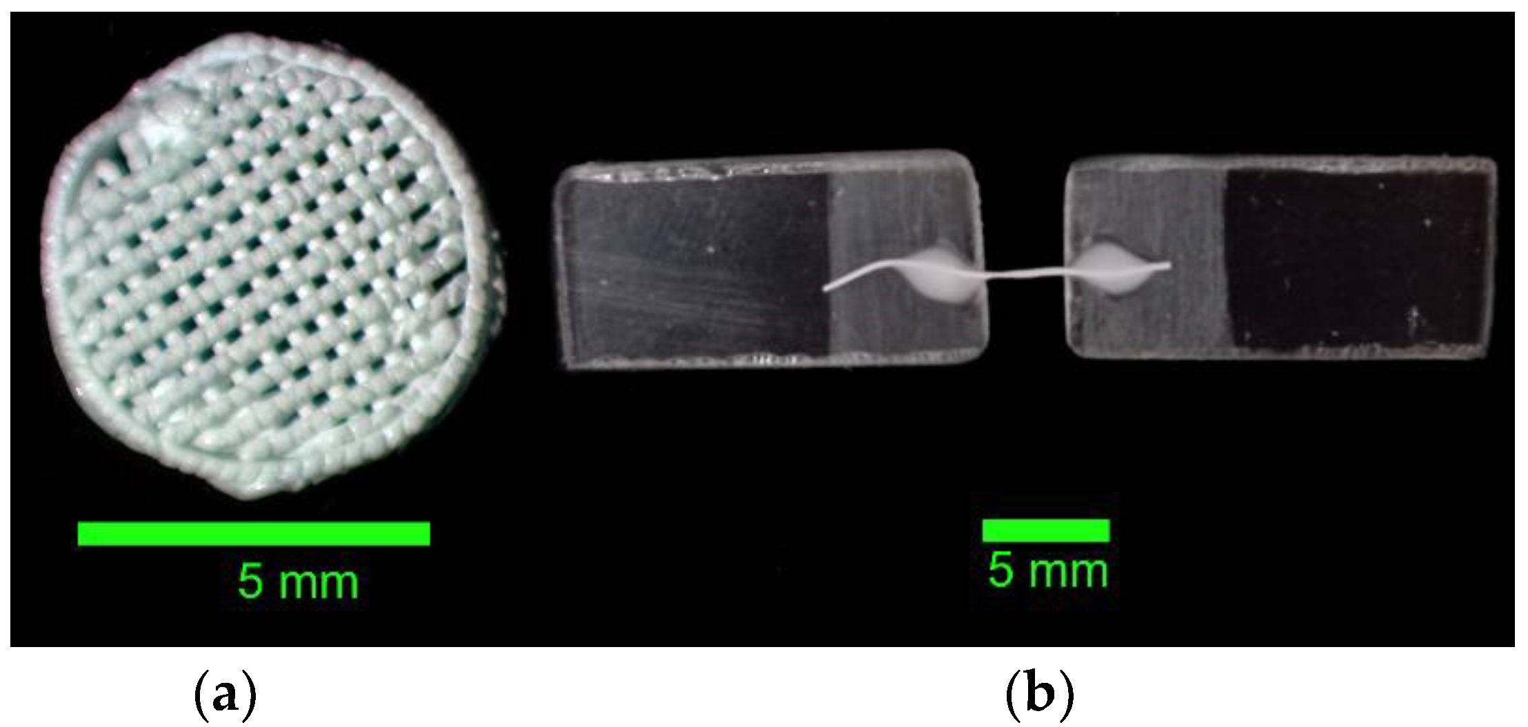 Polymers 17 00501 g003
