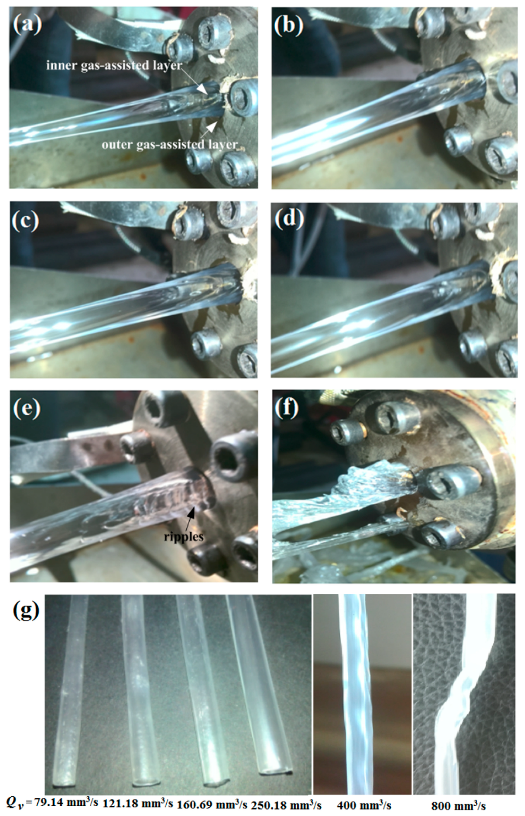 Polymers 17 00504 g005